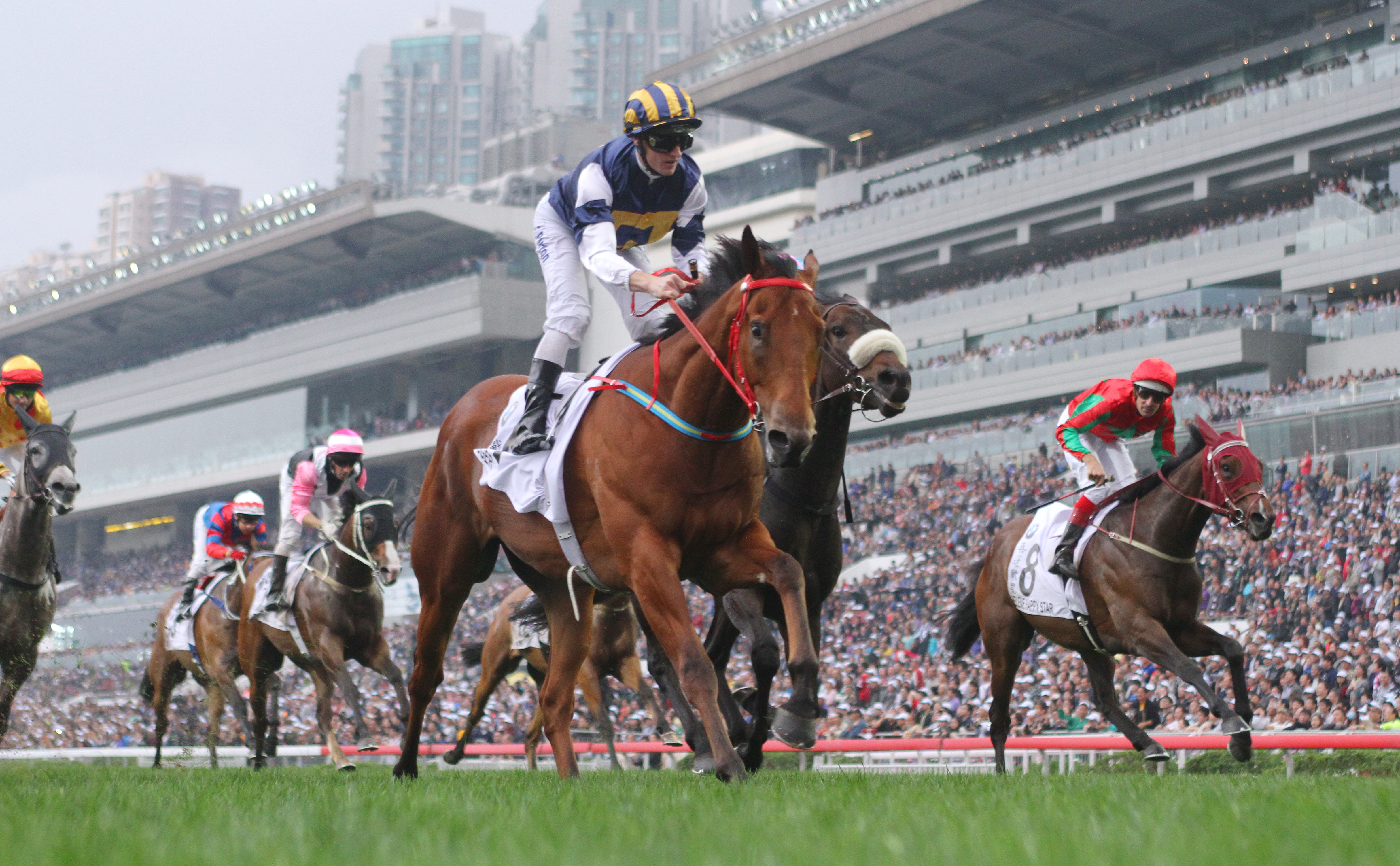 Luger, ridden by Zac Purton, wins the BMW Hong Kong Derby at Sha Tin on March 15. Photos: Kenneth Chan 