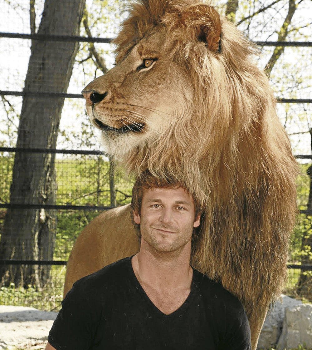 Interview: animal trainer Dave Salmoni on bonding with big cats