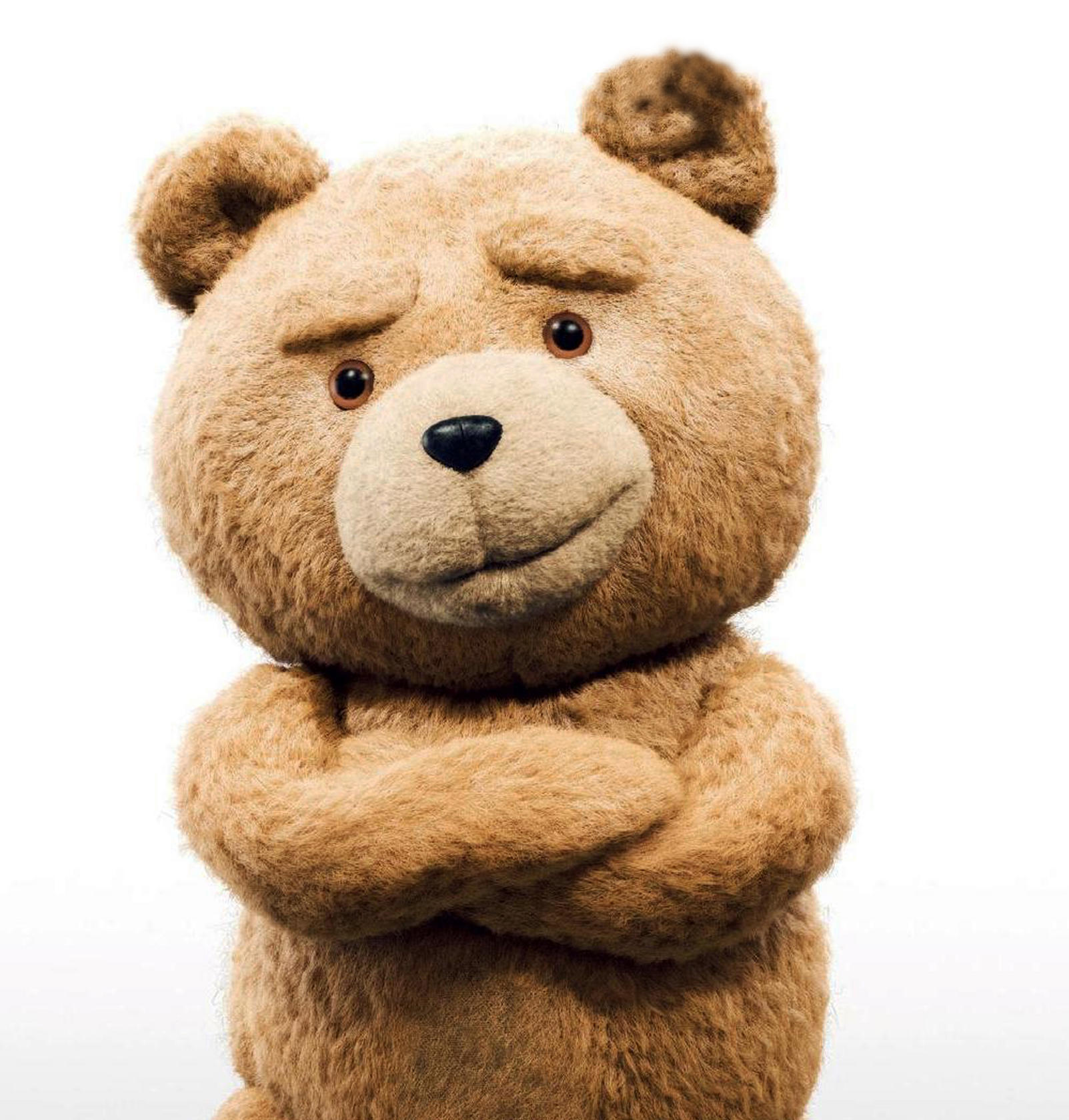 Ted, the foul-mouthed living bear, is not a good role model for children.