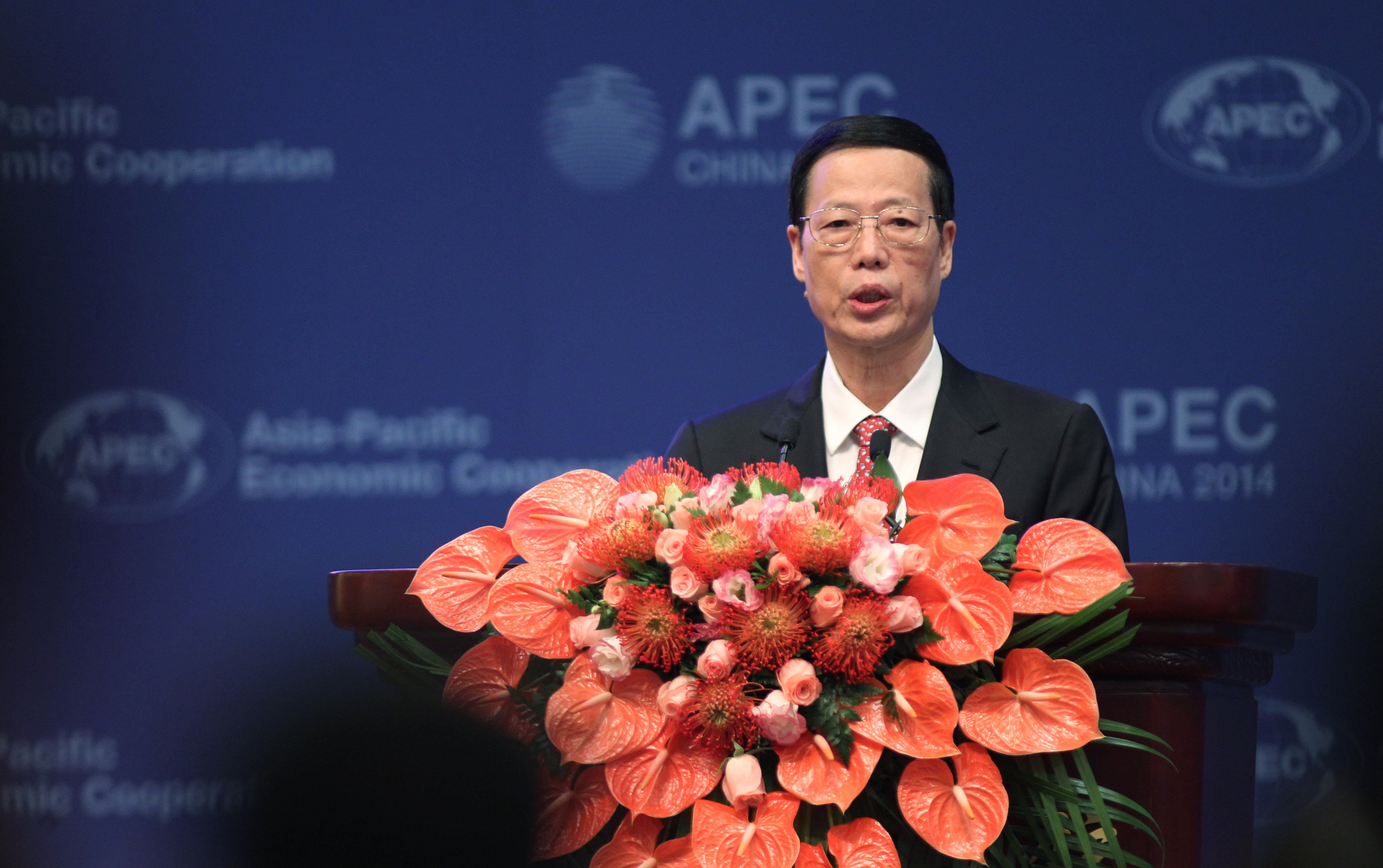 China's Vice-Premier Zhang Gaoli speaks at the Asia-Pacific Economic Cooperation forum finance ministers' meeting in Beijing in October last year. Photo: Simon Song