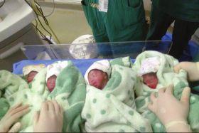 The Chinese quadruplet boys remain in intensive care in a hospital in Hunan province after they were born prematurely last Friday. Photo: Xiaoxiang Morning Herald