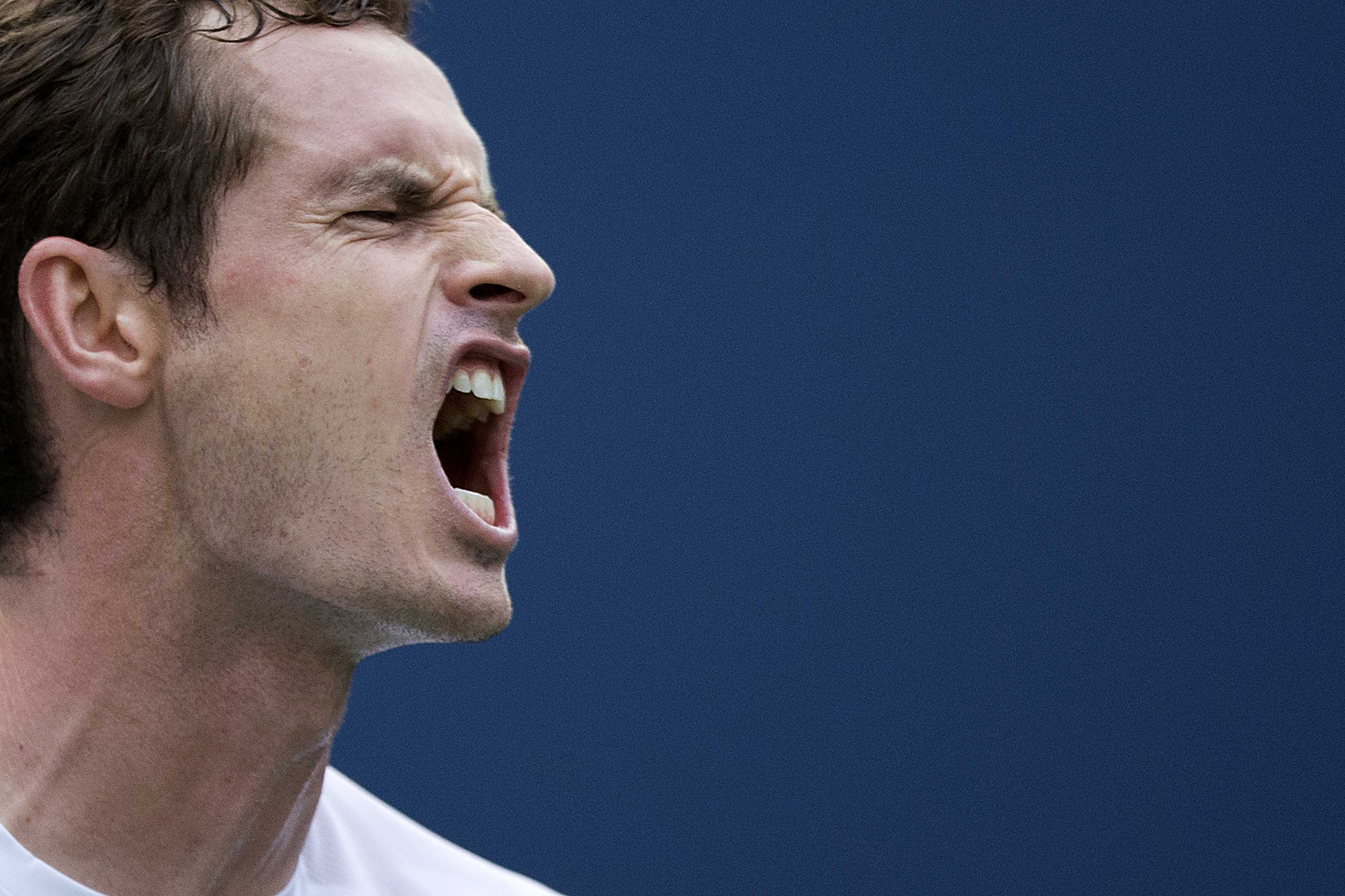 Andy Murray lets out a roar after winning a point against Adrian Mannarino. Photo: Reuters