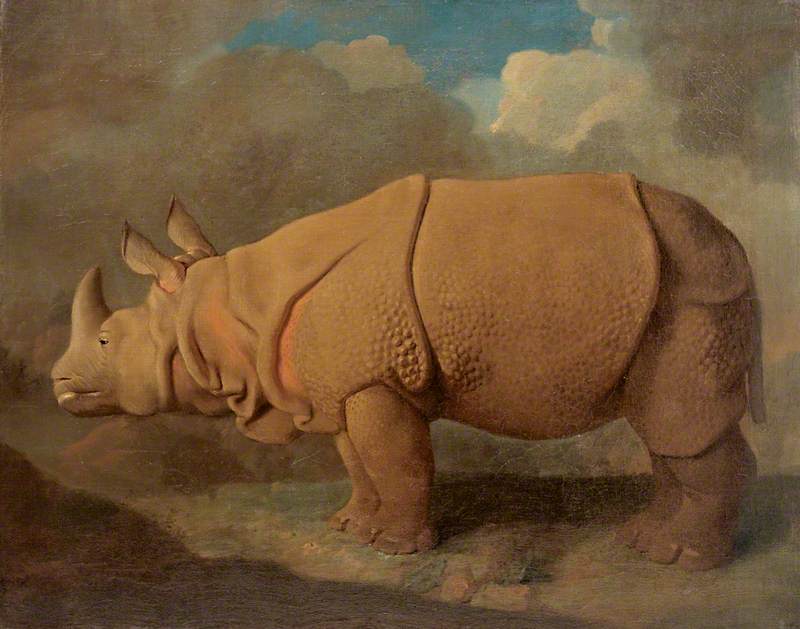 Stubbs' painting of the 'docile' rhinoceros from Pidcock's menagerie. 