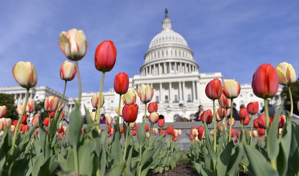 US Congress (Photo: Xinhua)