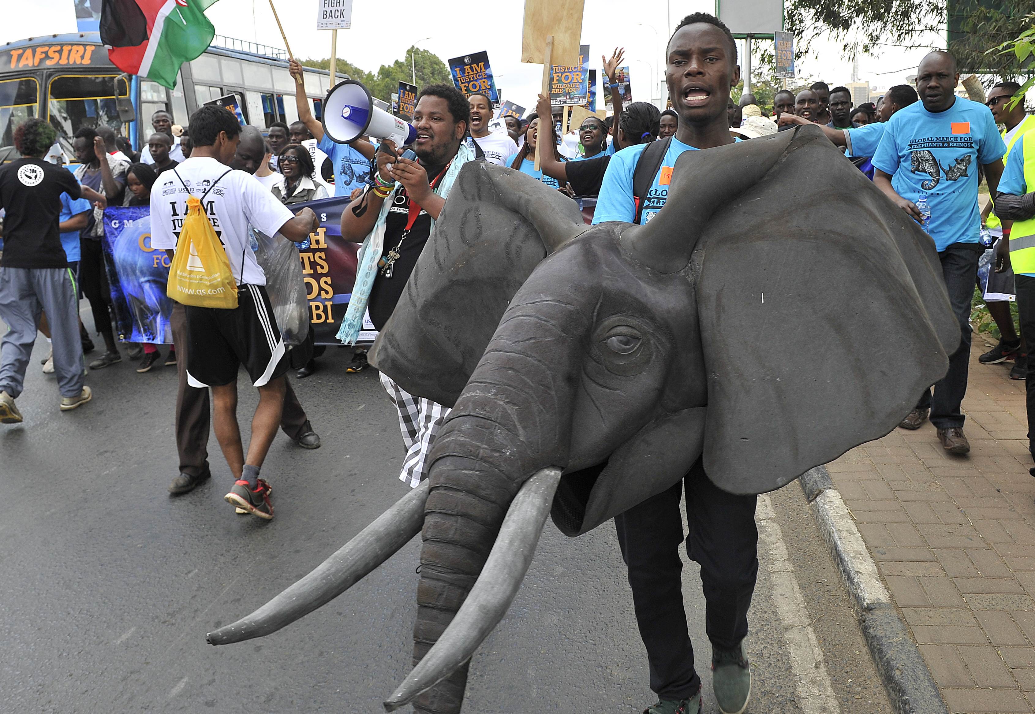 People rally as part of the Global March for Elephants and Rhinos demanding a halt to poaching of elephants and rhinos on October 3, 2015 in Nairobi. Photos: AP, EPA