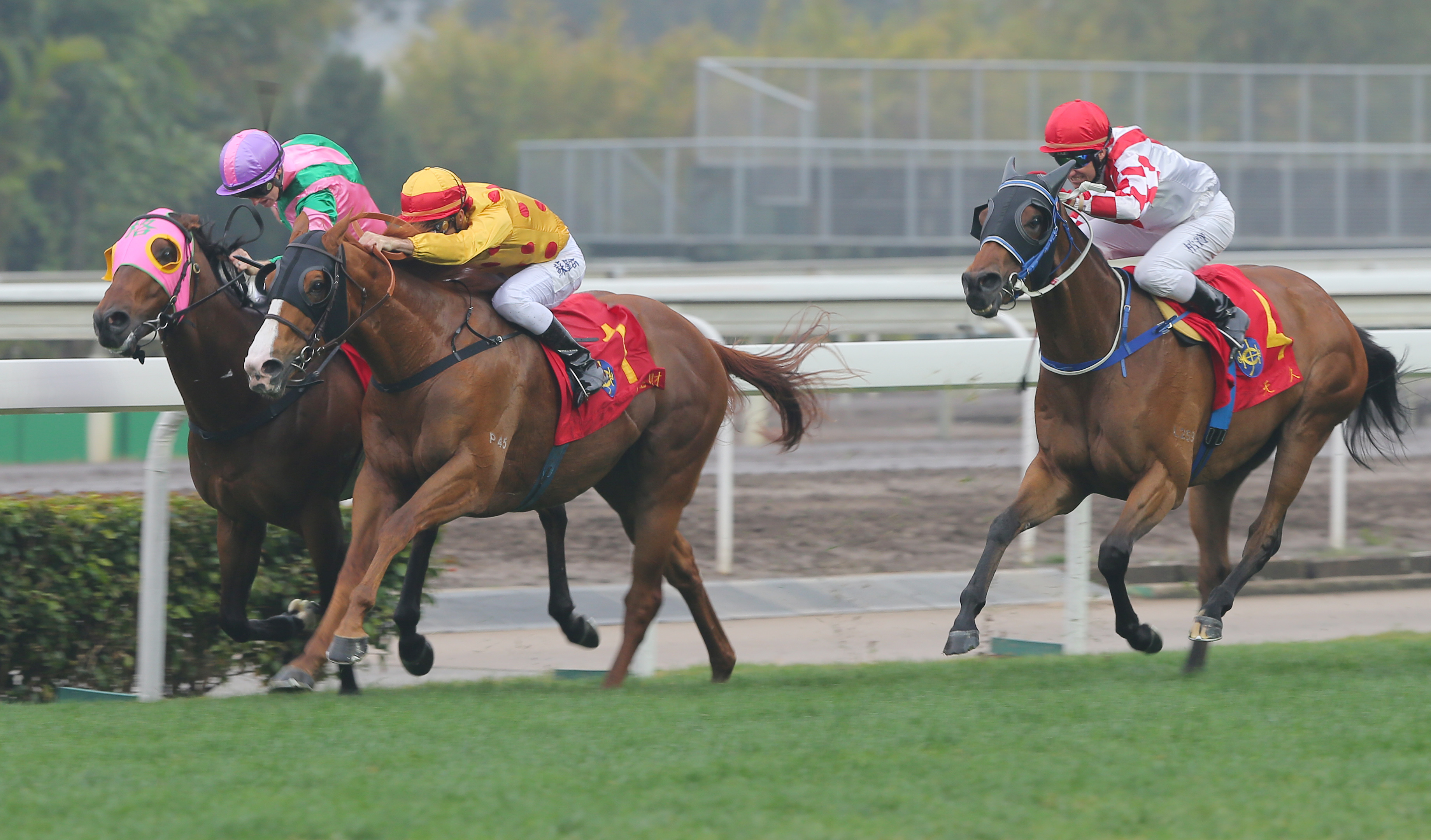 Gold-Fun and Aerovelocity go stride for stride in the Chairman's Sprint Prize this year, with Lucky Nine running into third. It will now be run as an international Group One feature on May 1. Photo: Kenneth Chan
