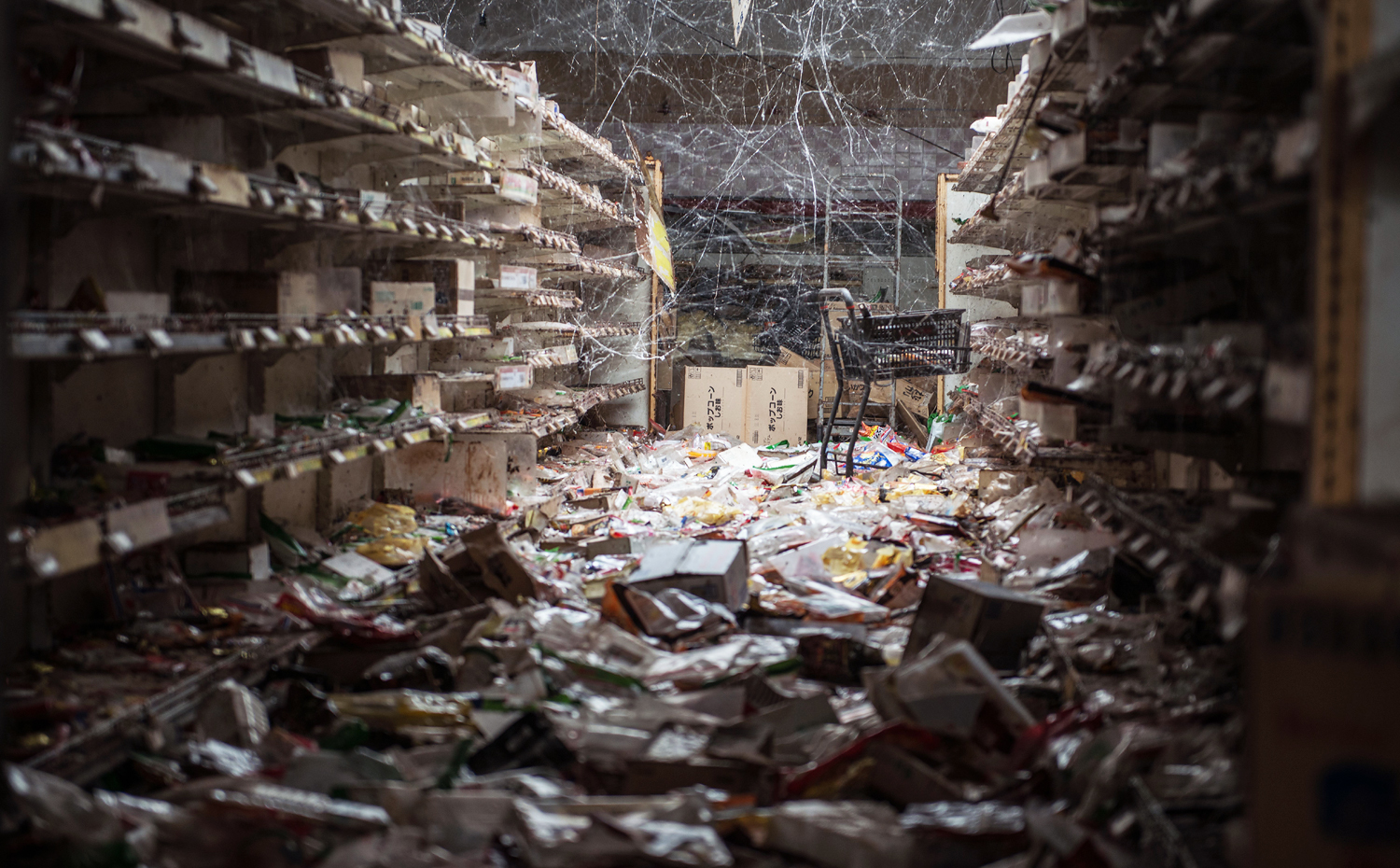 An aisle of a supermarket with products left on the floor. Since the disaster nature has been at work and cobwebs now hang between the shelves. Photo: Arkadiusz Podniesinski/REX Shutterstock