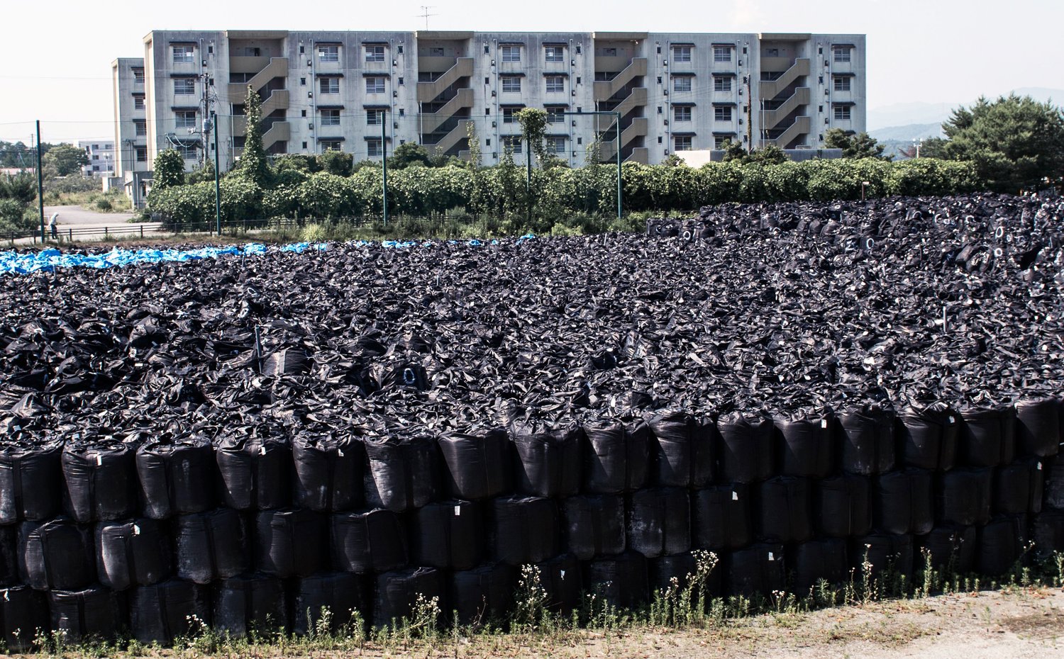 IN PICTURES: Fukushima's abandoned radioactive exclusion