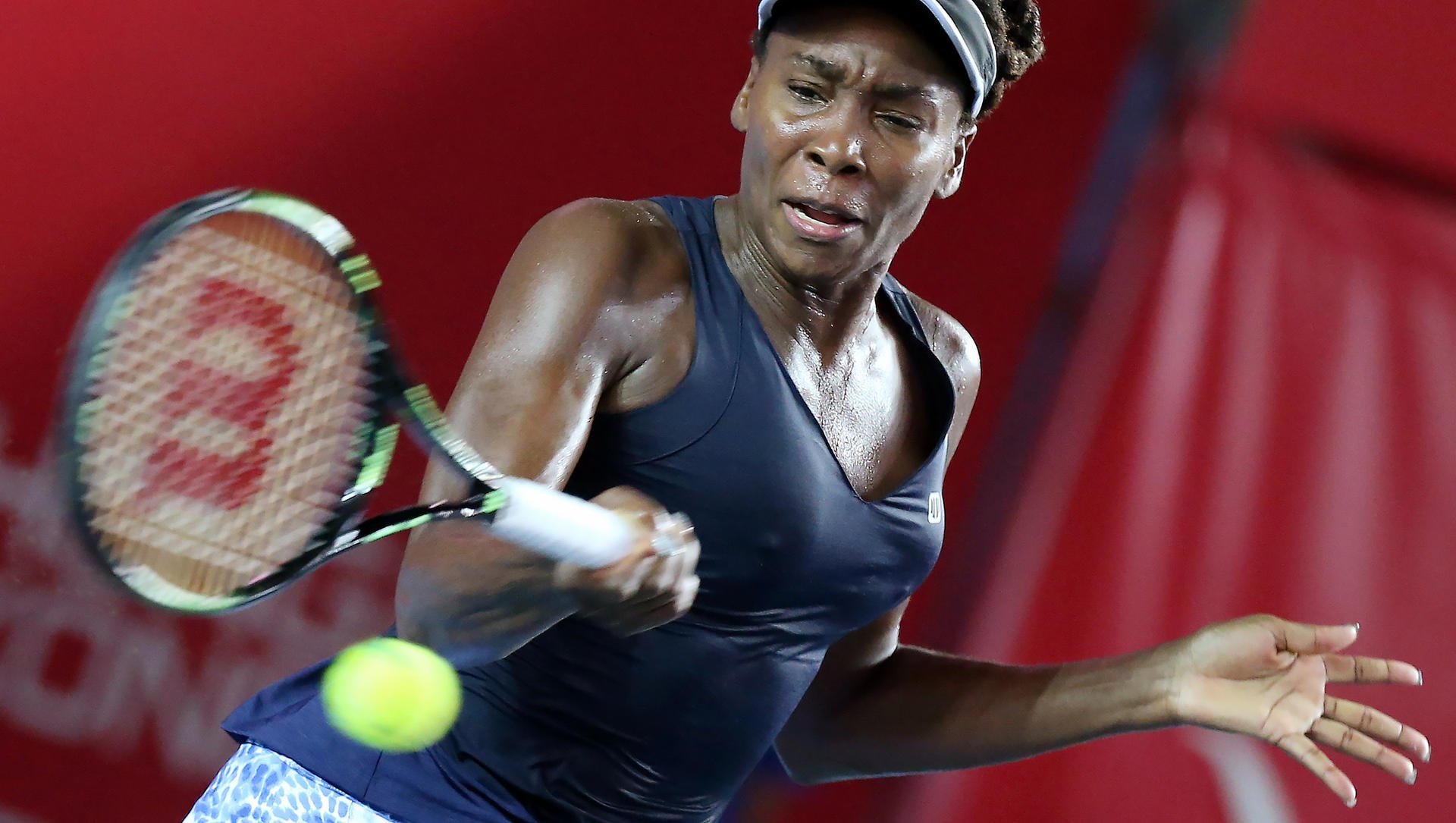 Venus Williams is all concentration during a one-sided romp over China's Wang Yafan, as seeded stars moved into the next stage of the Hong Kong Open. Photo: K.Y. Cheng