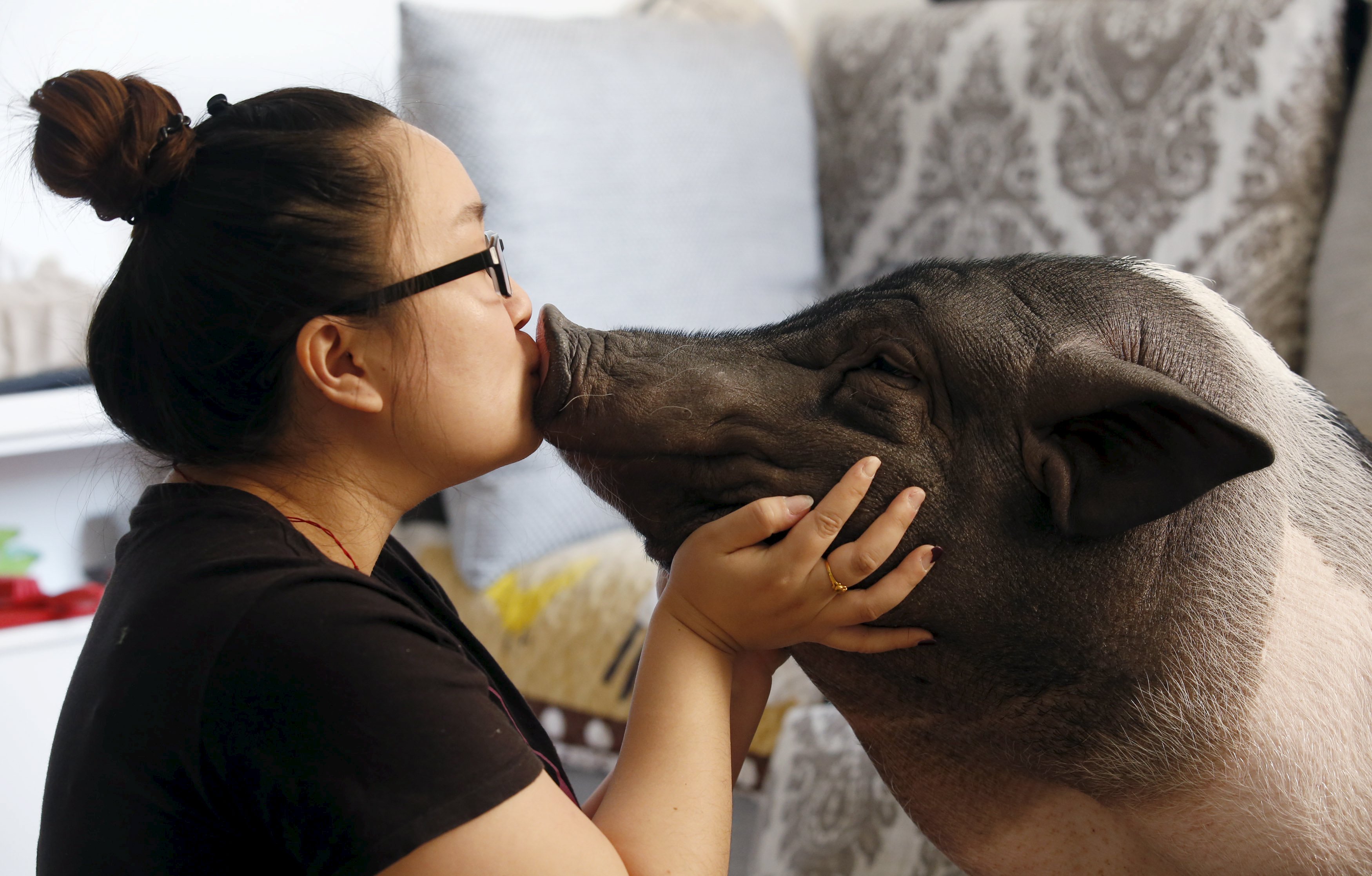 Zhu Romeng, of Beijing, with her pet pig, Wuhua, which she has raised since it was a piglet. Photo: Reuters