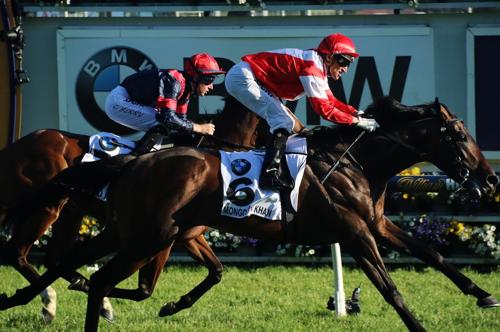 Mongolian Khan beats Trip To Paris in the Caulfield Cup on Saturday. Both are likely Hong Kong visitors in December. Photo: Melbourne Racing Club
