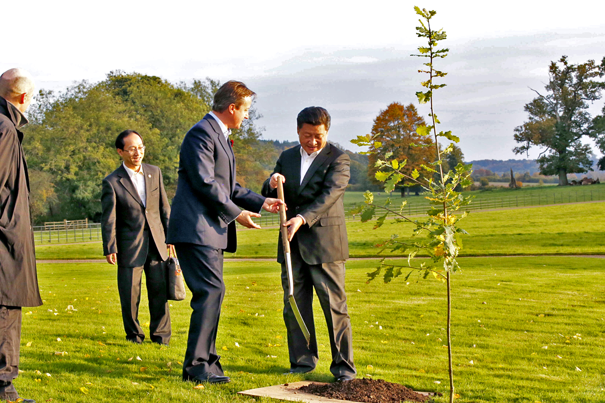 Chinese President Xi Jinping (R) and British Prime Minister David Cameron (2nd R) plant an oak tree symbolizing the China-Britain friendship in Cameron's country retreat, Chequers. Photo: Xinhua