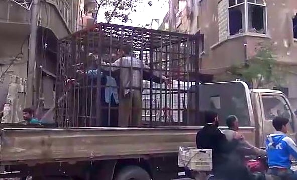 A still image taken from a video that purportedly shows prisoners in iron cages being driven through Eastern Ghouta in Syria. Photo:  Shaam News Network