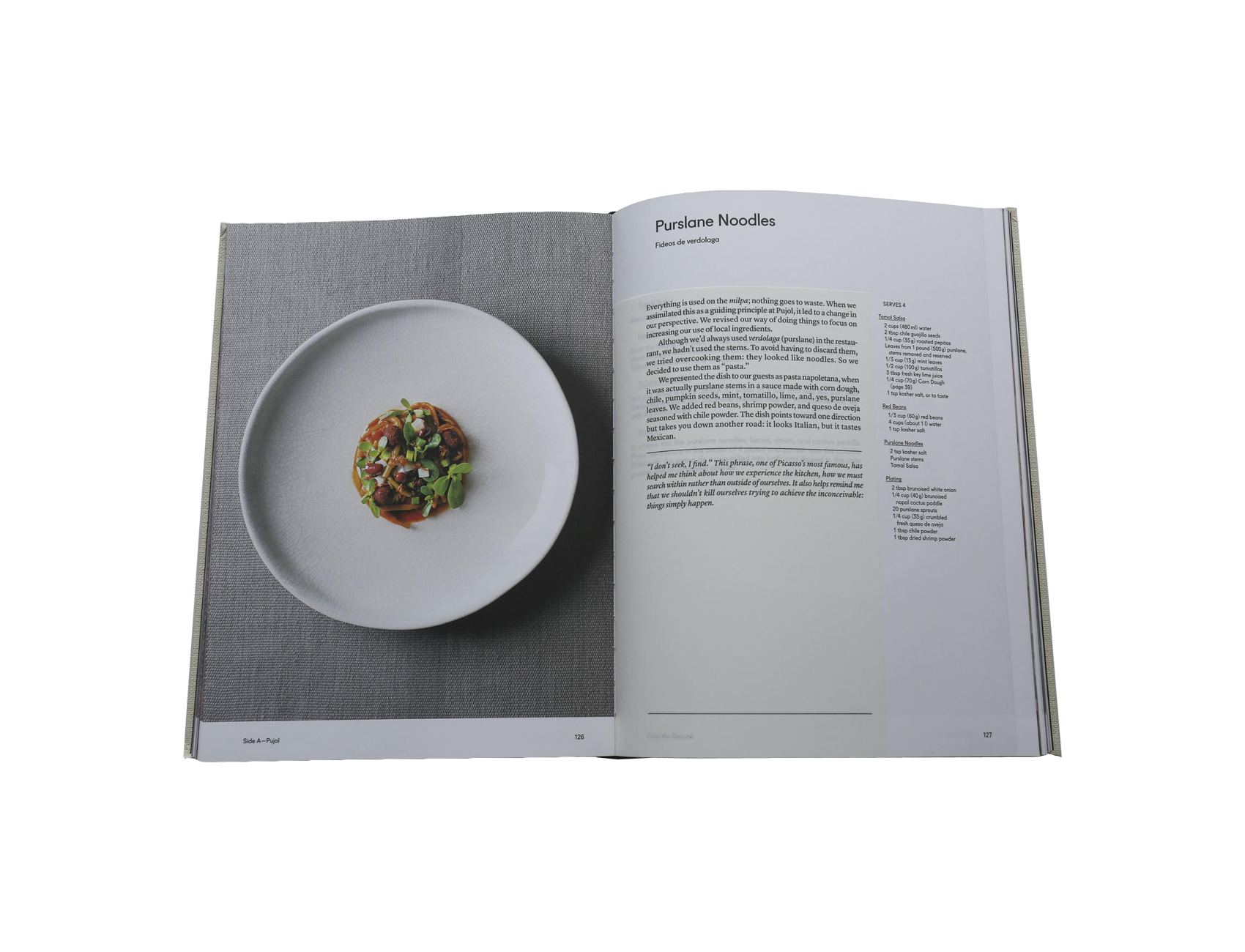 Food book: Enrique Olvera's Mexico from the Inside Out | South