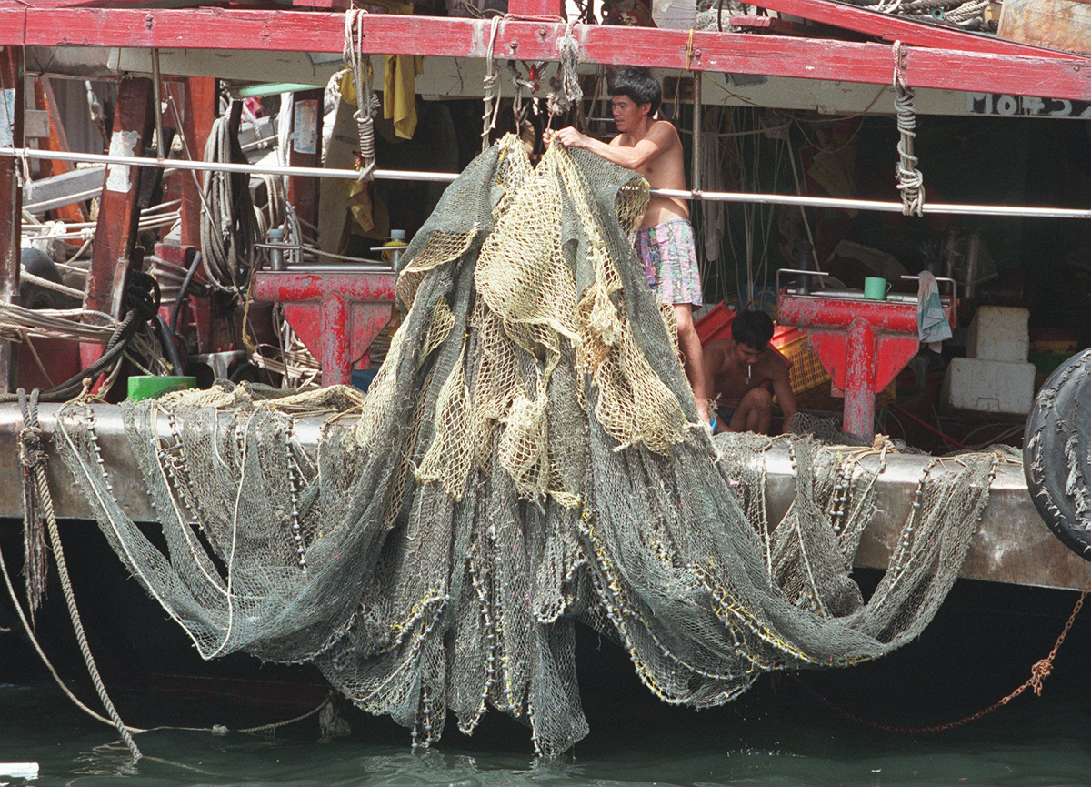 Hong Kong exhibition exposes cruelty of shark-fin trade