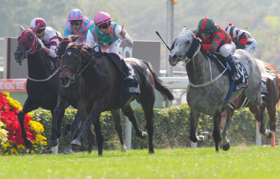 Flintshire is on track to win the Hong Kong Vase again. Photo: Kenneth Chan