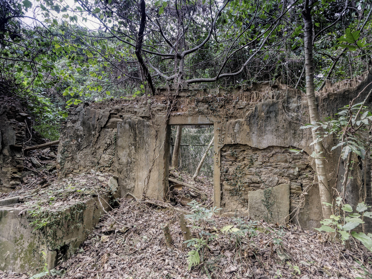 The ruins of houses on Tung Ping Chau.  Photos: Antony Dickson; Pete Spurrier; Jonathan Wong; Martin Williams; May Tse