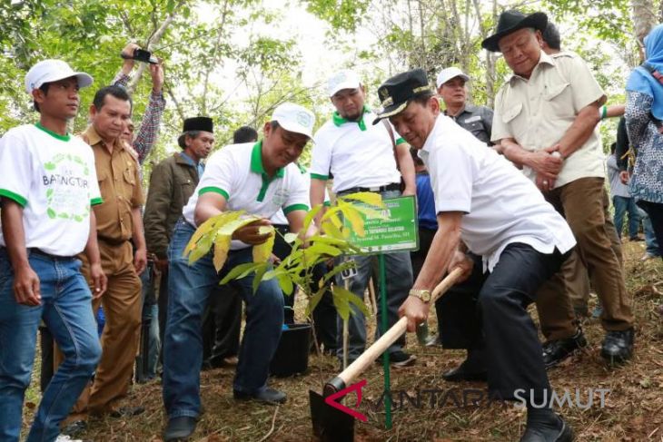 PT. North Sumatera Hydro Energy (NSHE) representatives with the Regent of South Tapanuli, Syahrul M. Pasaribu (third from the left) are planting various types of local trees in the Batangtoru Forest. PT. NSHE is committed to environmental protection as we offer renewable energy for the North Sumatera Province in Indonesia.