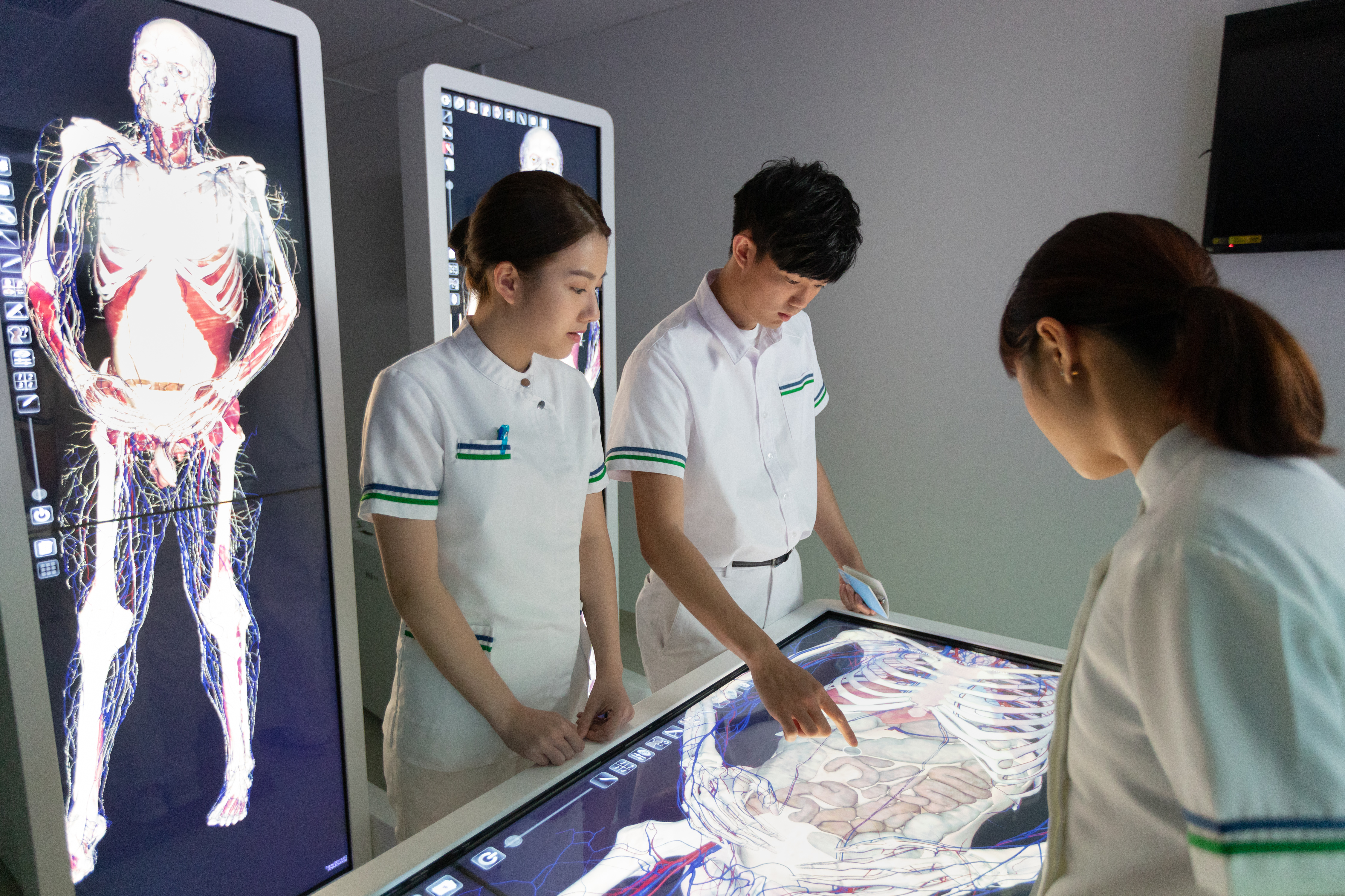 The Digital Virtual Dissection System displays the human body structure at a 1:1 ratio. 