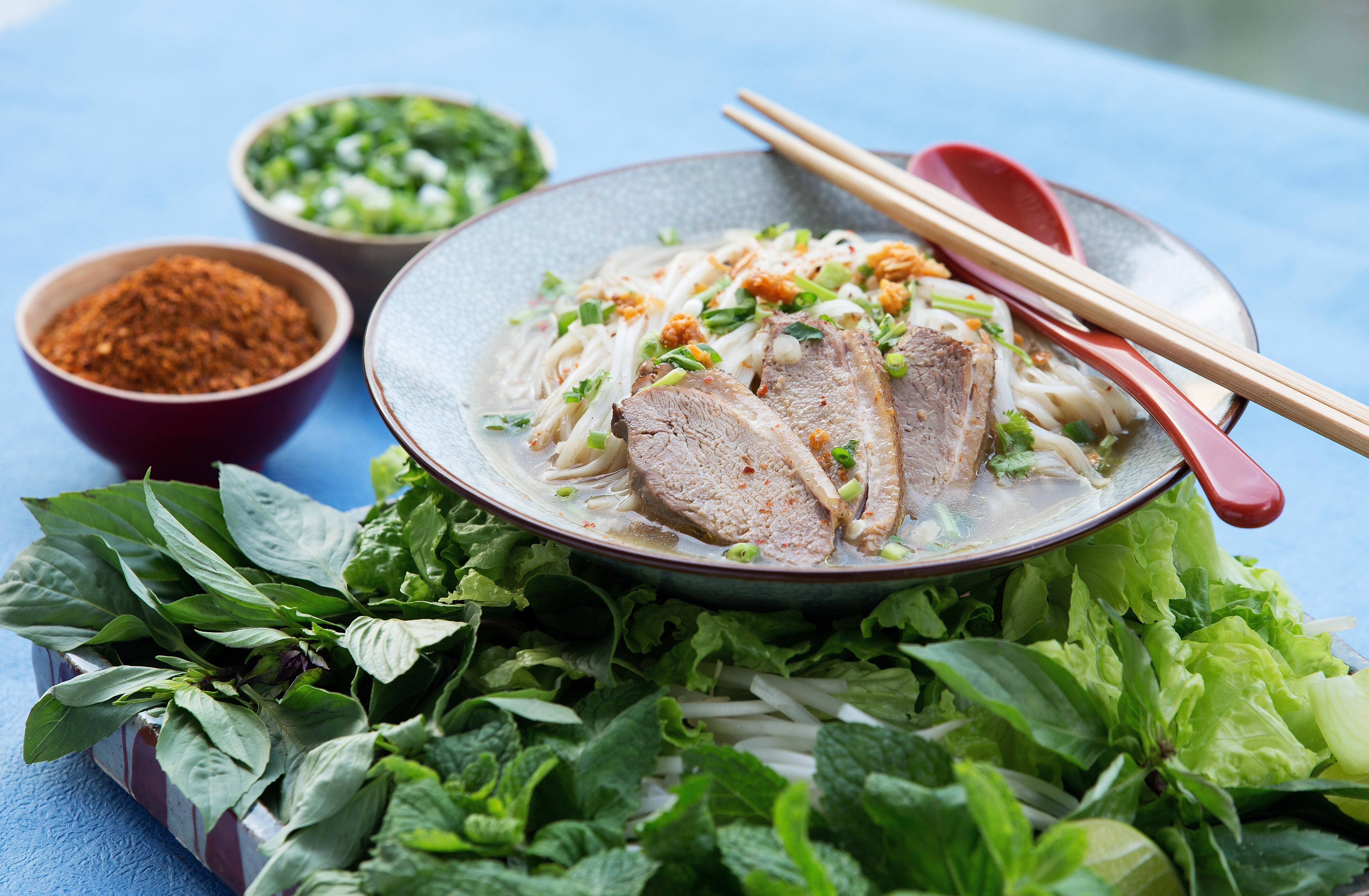 Thai duck noodle soup