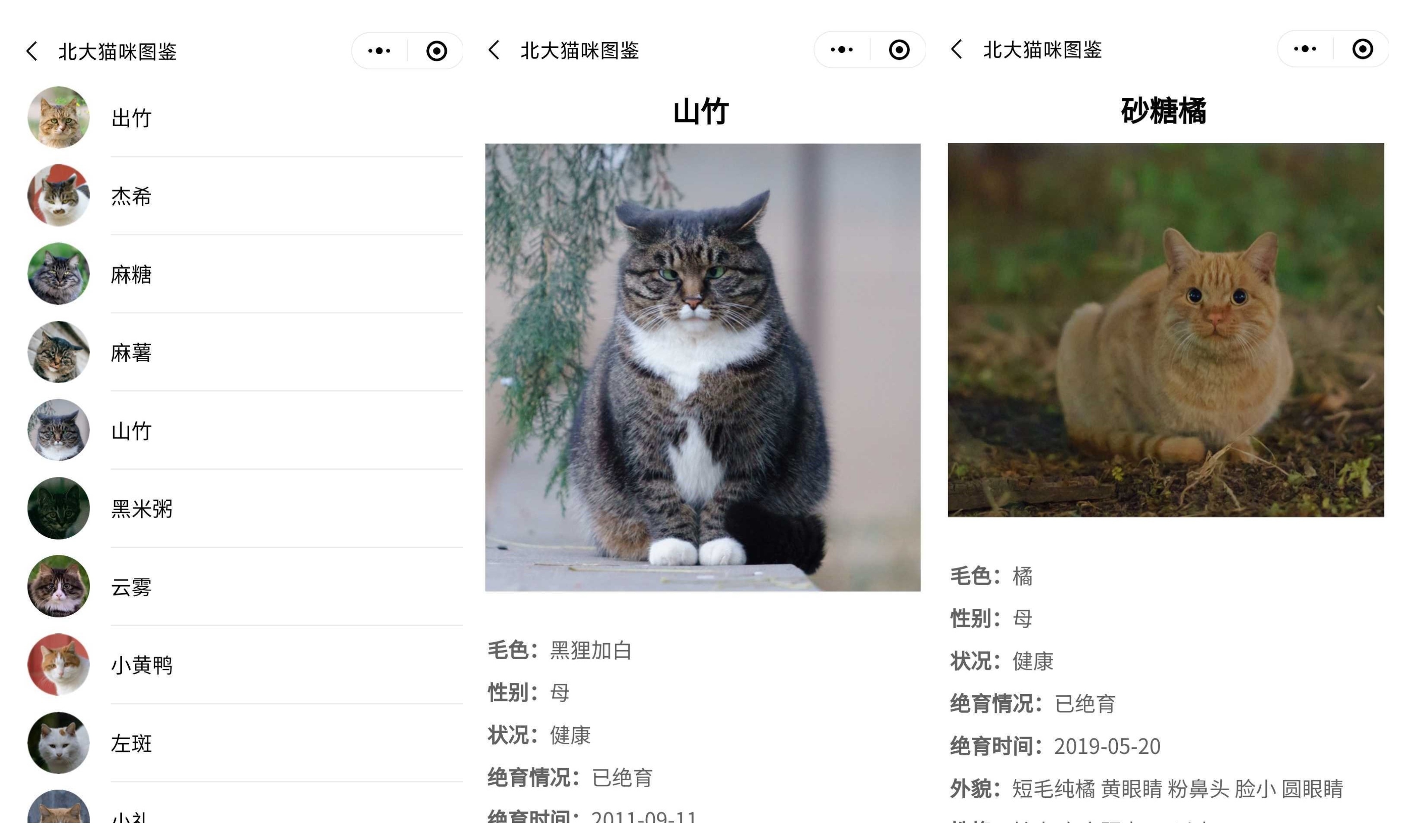 This WeChat mini program logs interesting details about Peking University’s stray cats. (Picture: Yan Yuan Mao)