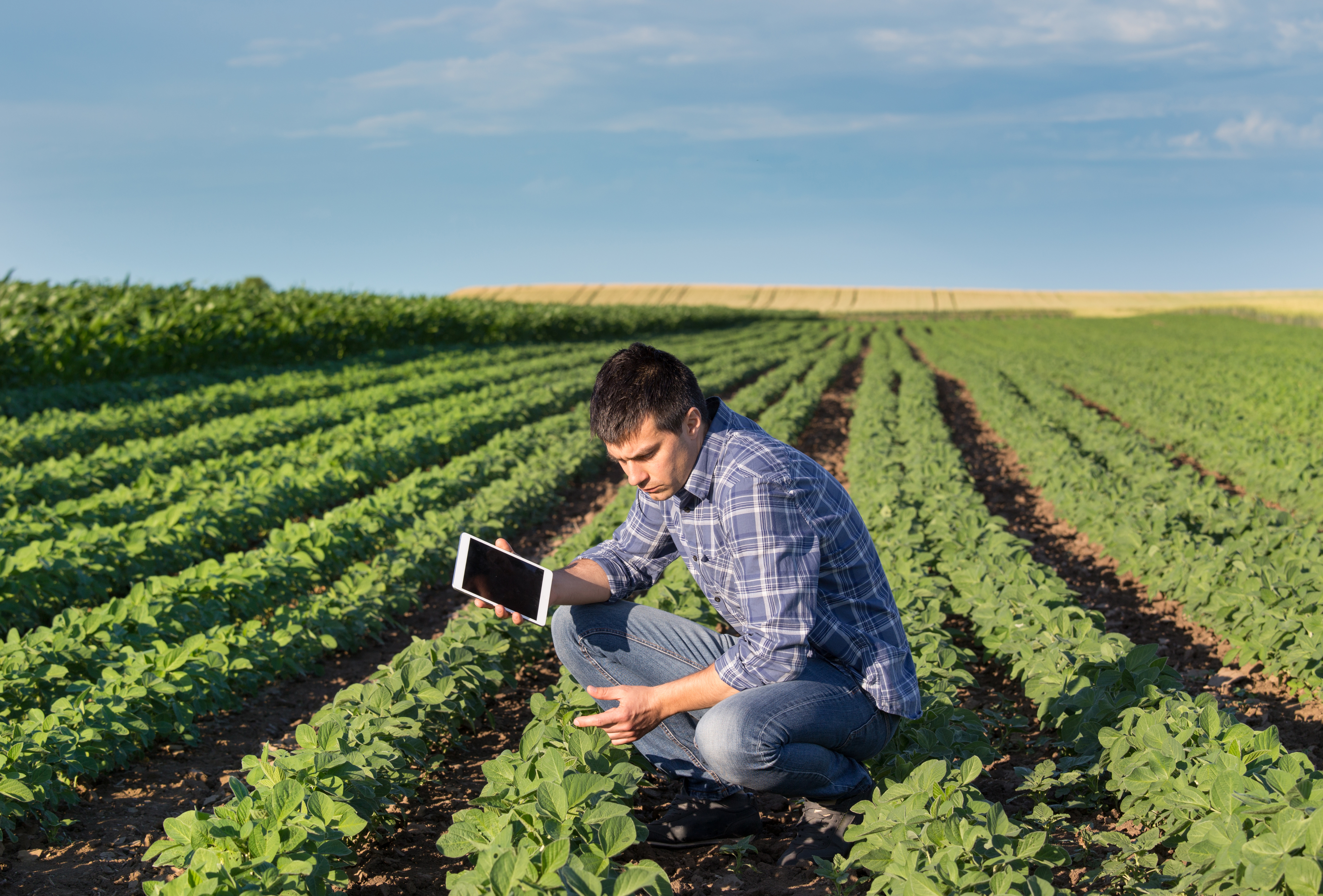 Agriculture engineering