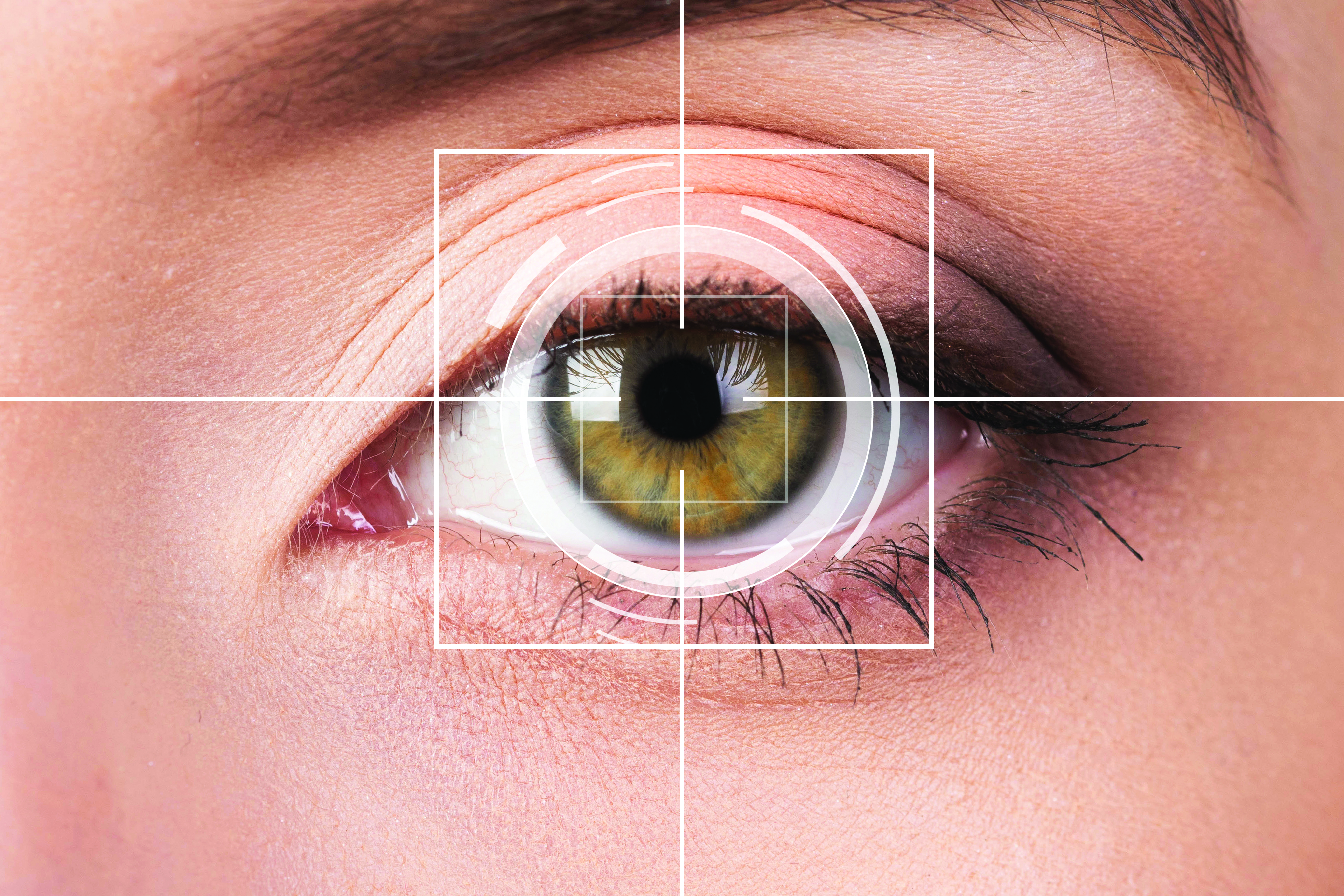 The eye-tracker is used for tracking one's eye movements, gaze points, and fixations.