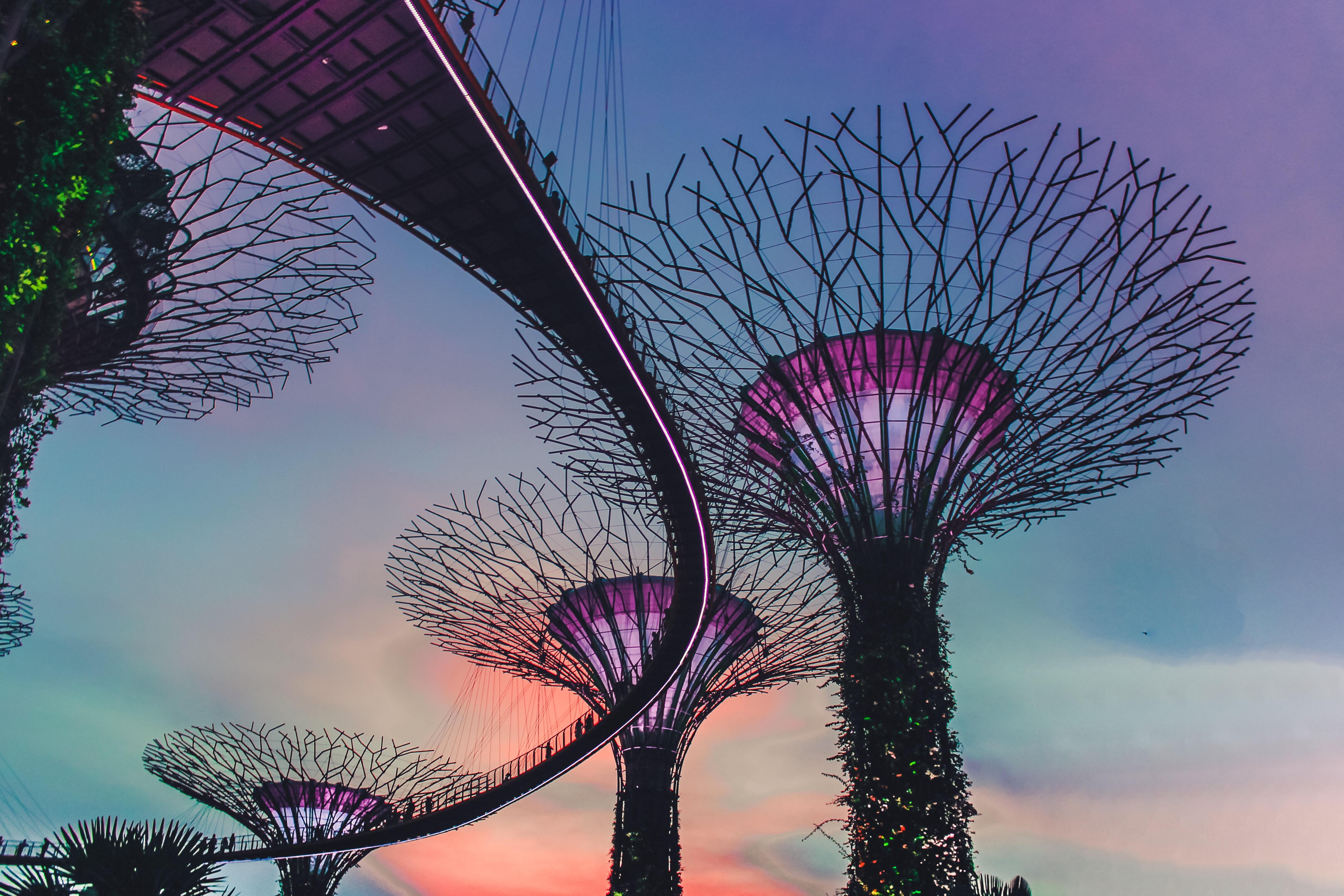 Photo by: Unsplash