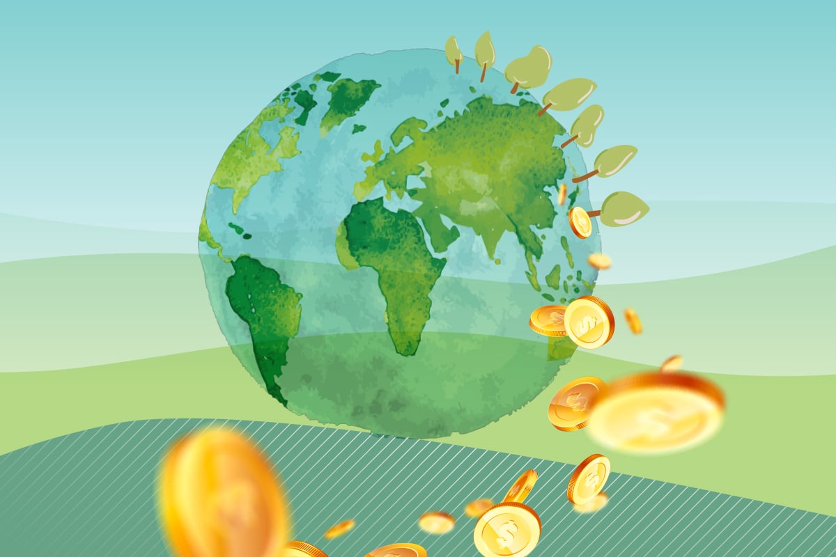 Are Institutional Investors Taking Stock of Climate Change?