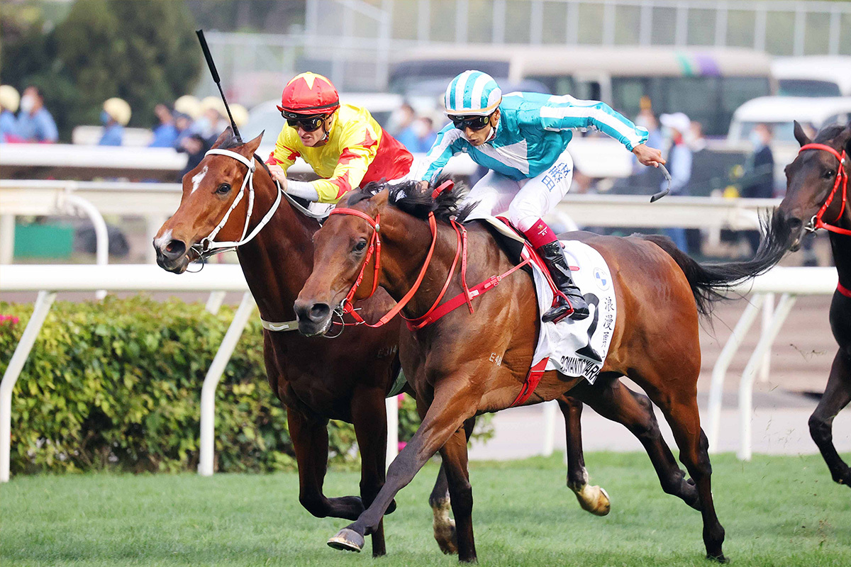 Romantic Warrior (No. 2) and California Spangle step up to challenge Hong Kong’s best.