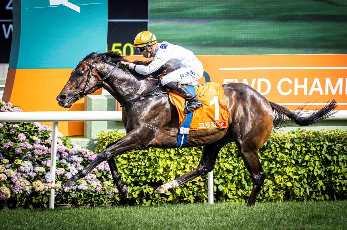 Golden Sixty stands alone as the highest prize money earner in Hong Kong racing history.