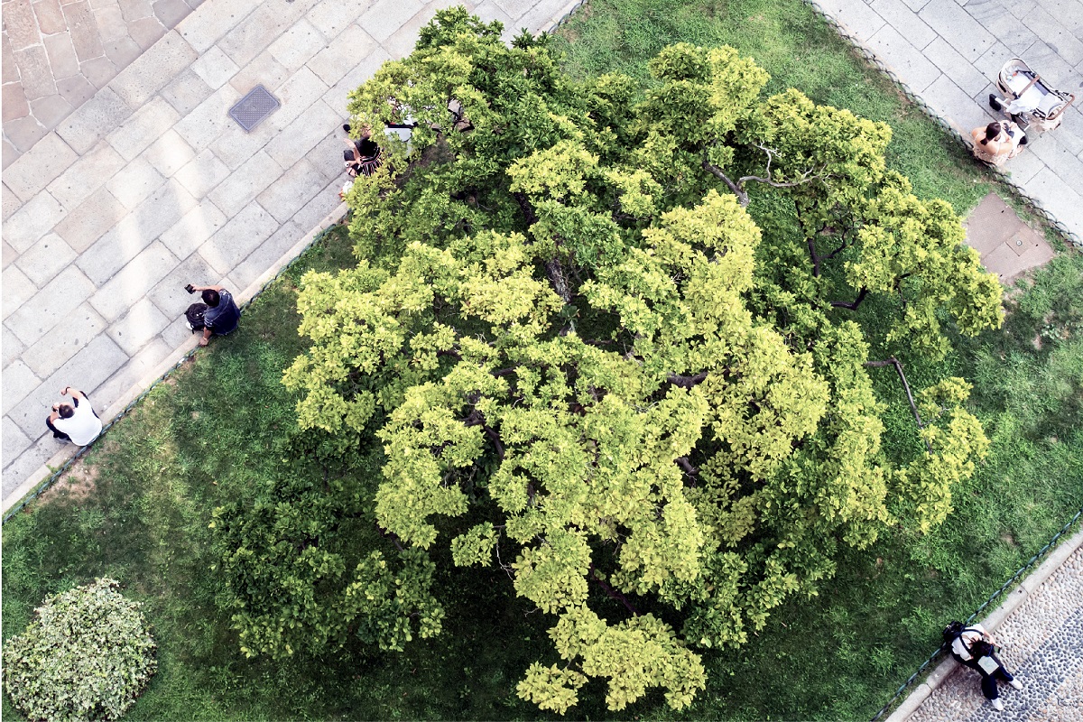 Japanese, Australian cities lead the way in CBRE’s APAC sustainability ranking