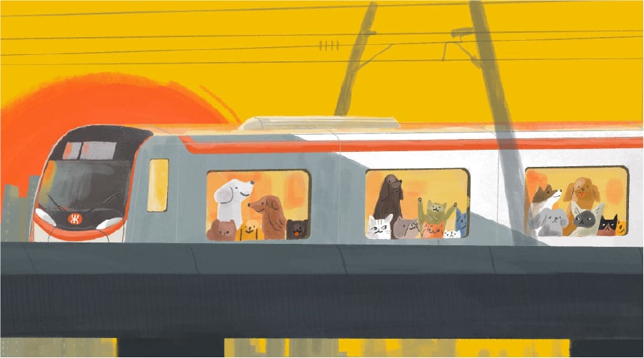 Pets on Hong Kong public transport: a visual guide on how the city is relaxing rules