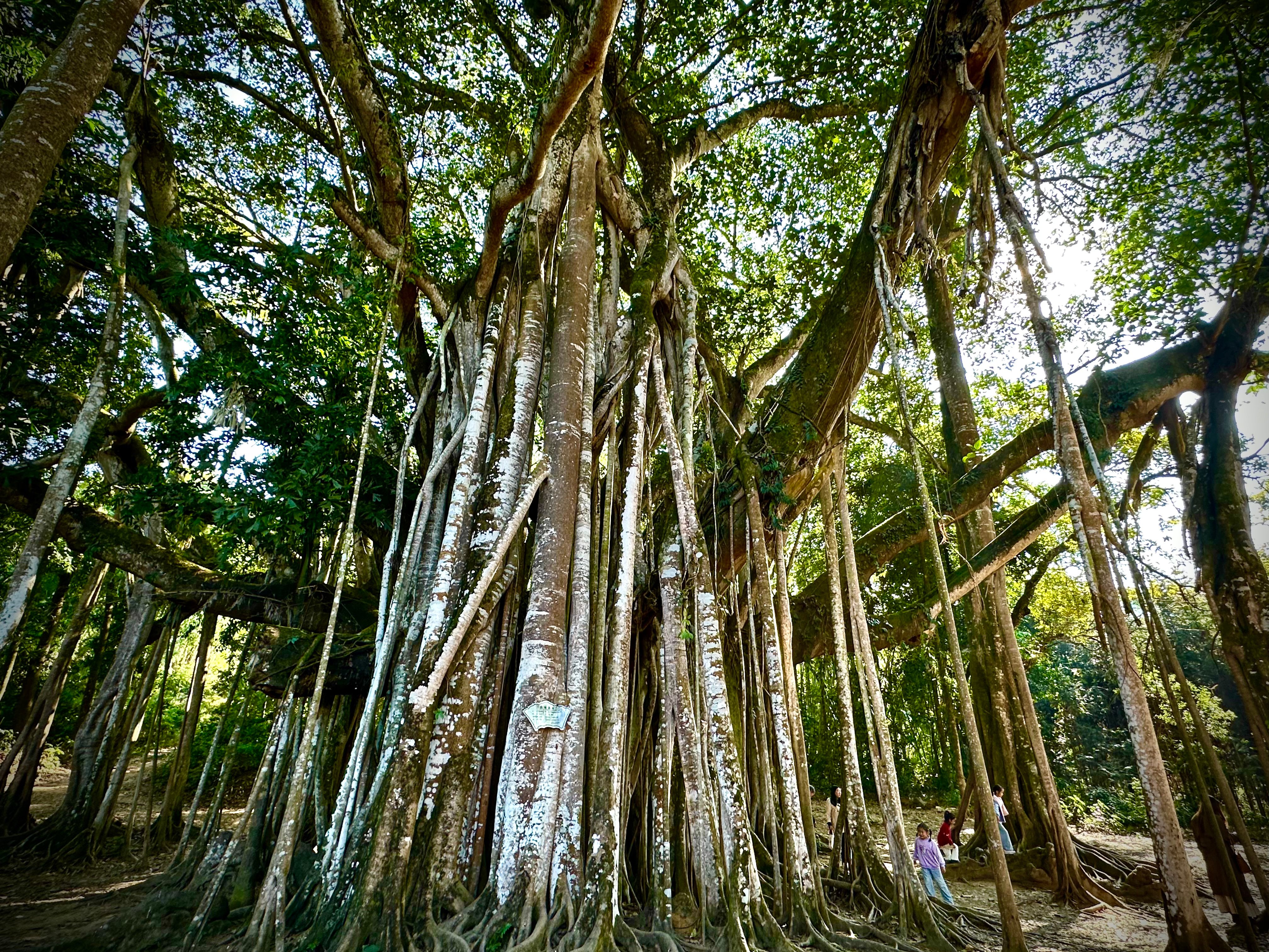 scmp.com - Advertising partner - Move between worlds: A brighter future unfolds at the intersections