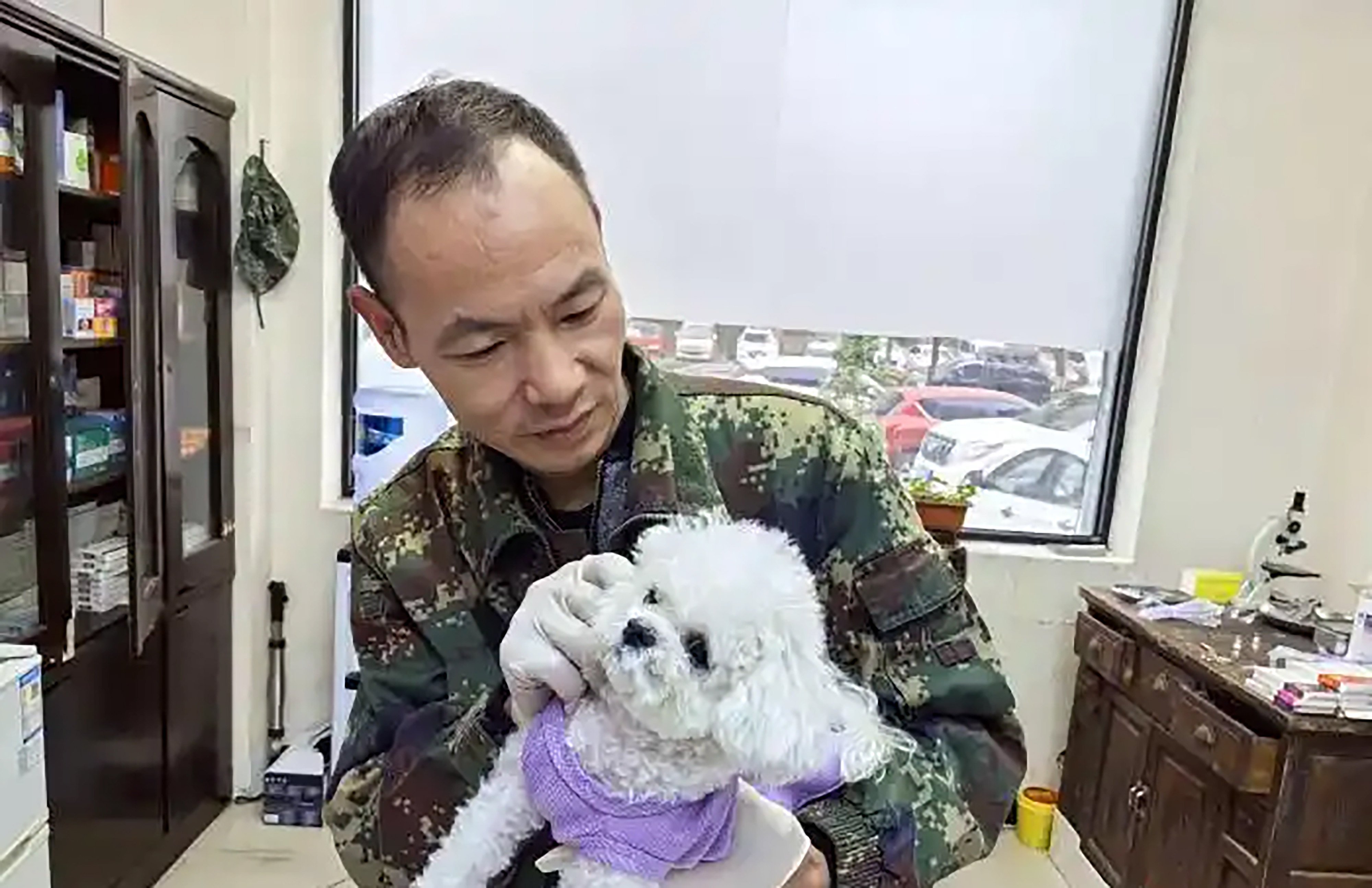 A retired military dog handler in China, dubbed the “Hua Tuo of vets,” provides low-cost treatments for pets at his simple clinic. Photo: Baidu