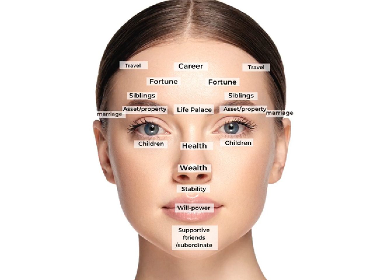 From your forehead to chin - what your SPOTS reveal about your