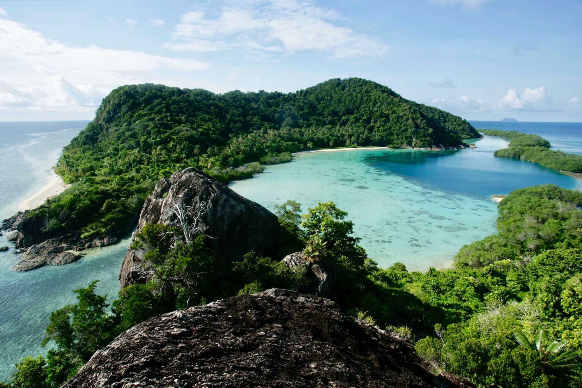 Coconut beach on private island Elang, part of Indonesia’s remote Anambas Islands.