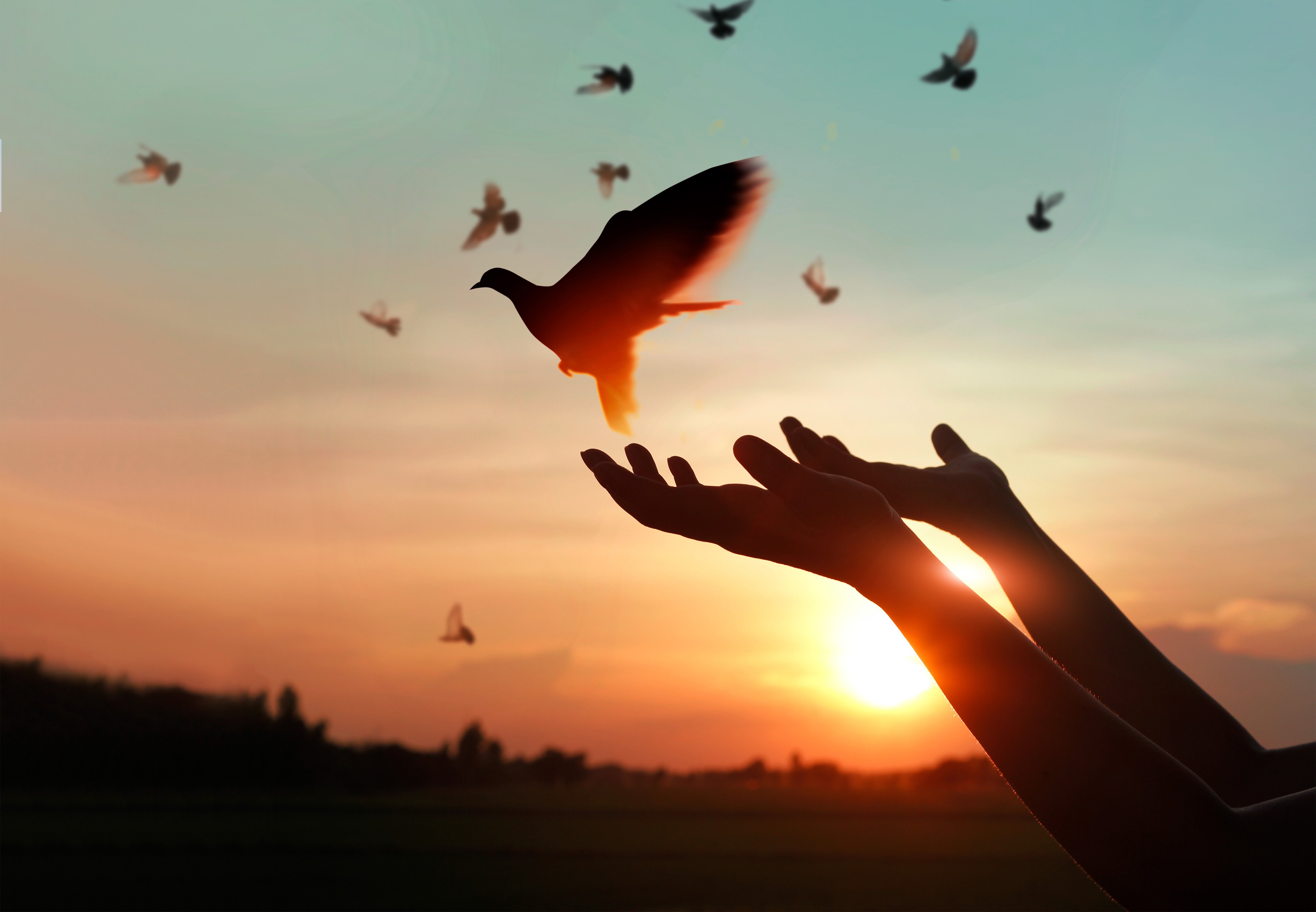 Scientists and educators worldwide are taking a deeper look at what forgiveness is and the beneficial effects it has on our physical and mental health. Photo: Shutterstock
