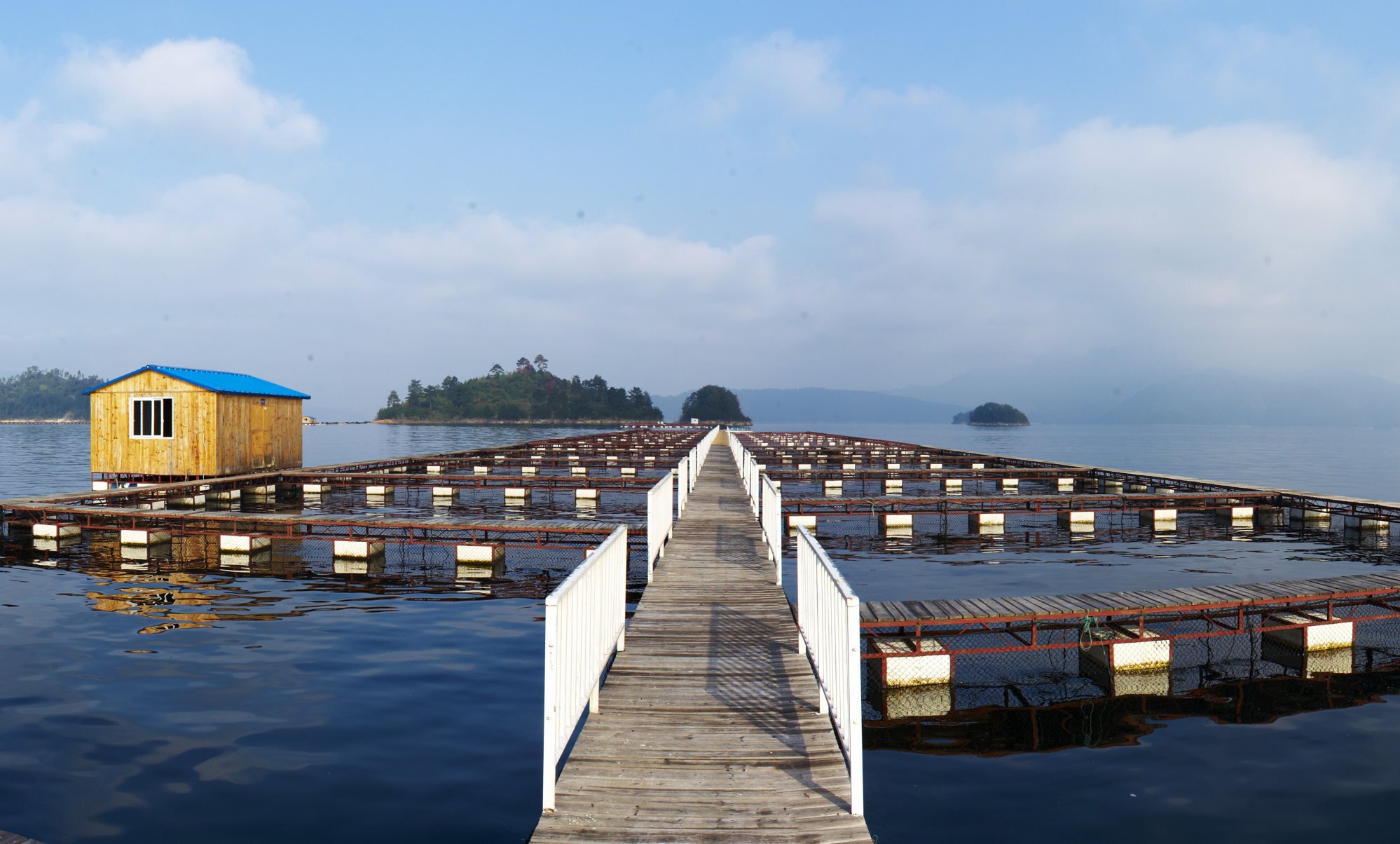 Kaluga Queen’s fish farms at Thousand Island Lake in Hangzhou. Photo: Kaluga Queen