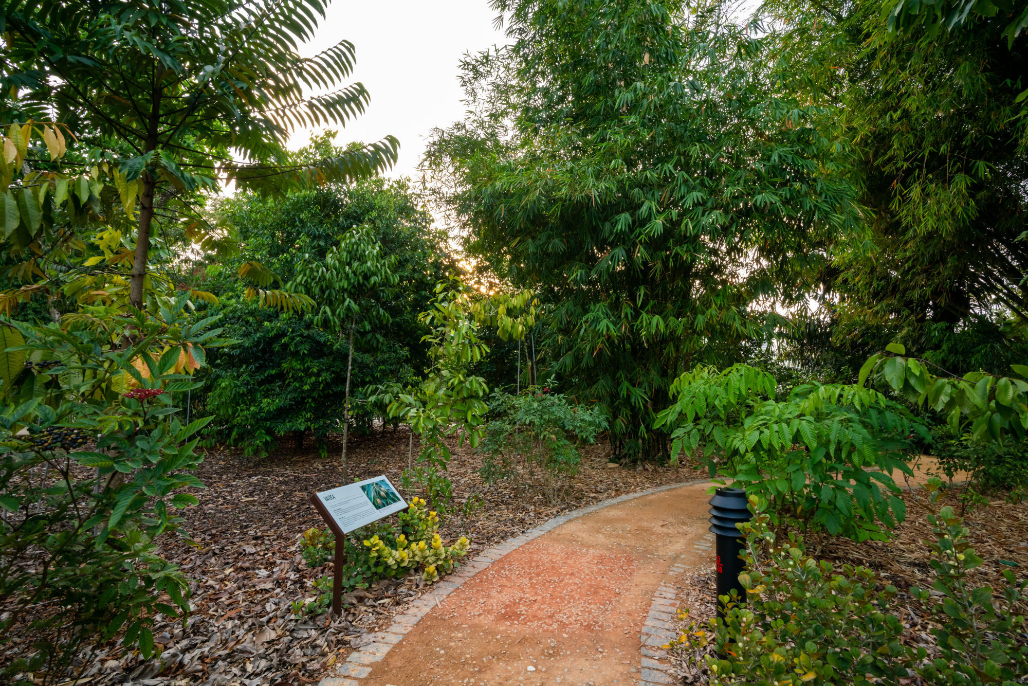 Singapore Botanic Gardens Extension Adds Trails, Botanical Art And ...