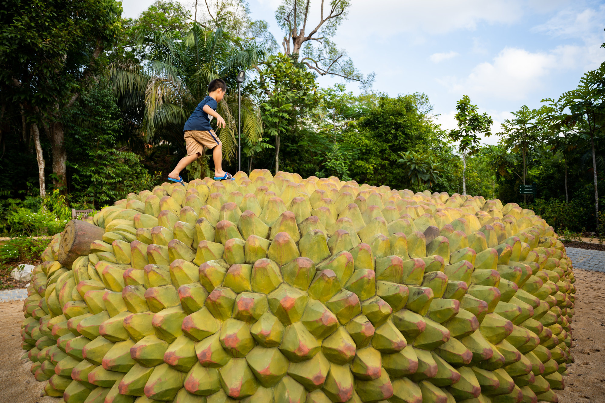 A boy plays on a giant jackfruit at the Como Adventure Grove in the Singapore Botanic Gardens. Photo: National Parks Board, Singapore
