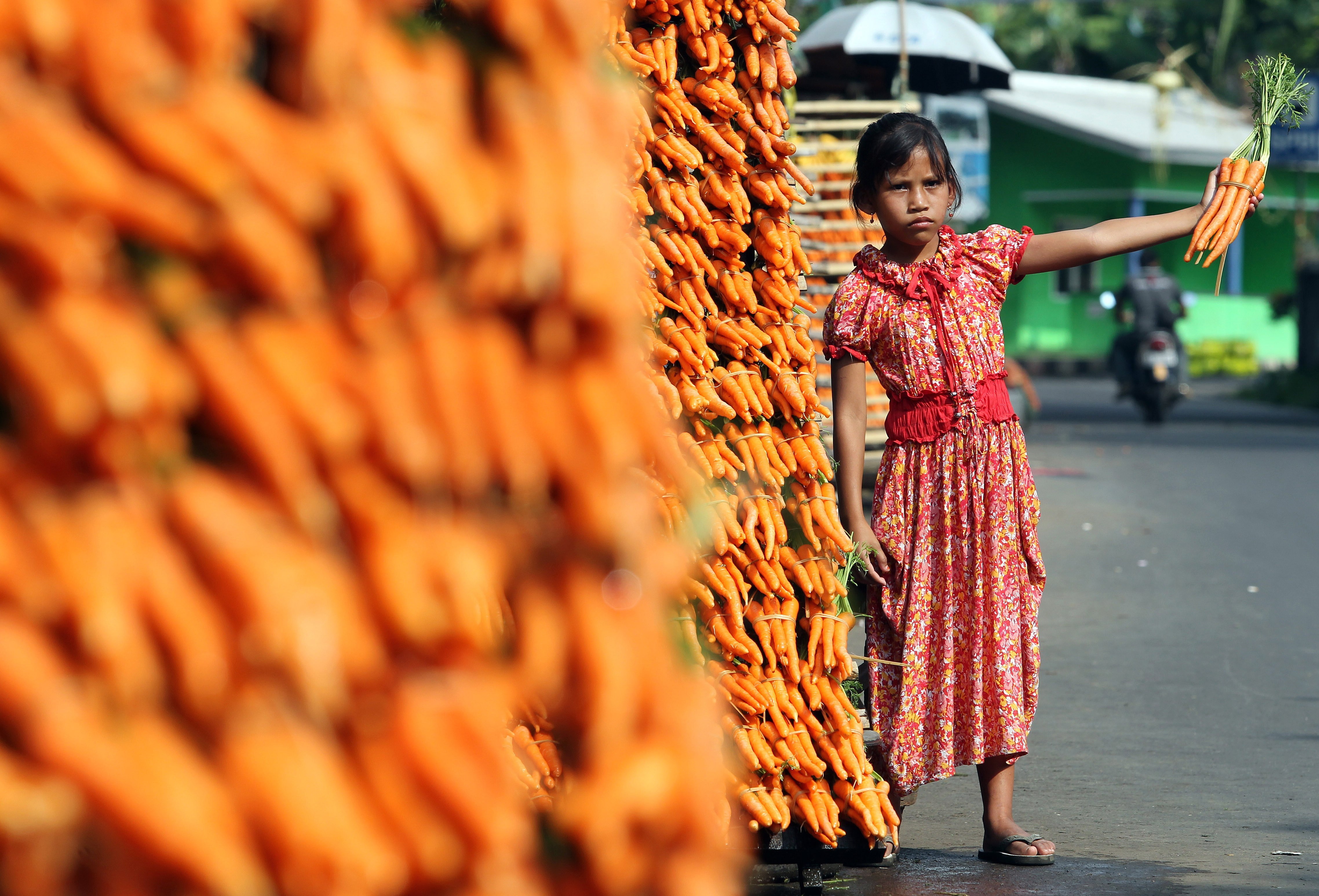 A young vendor holds a bunch of carrots for sale on a street in Cisarua Bogor, Indonesia, on September 24, 2012. Photo: EPA-EFE