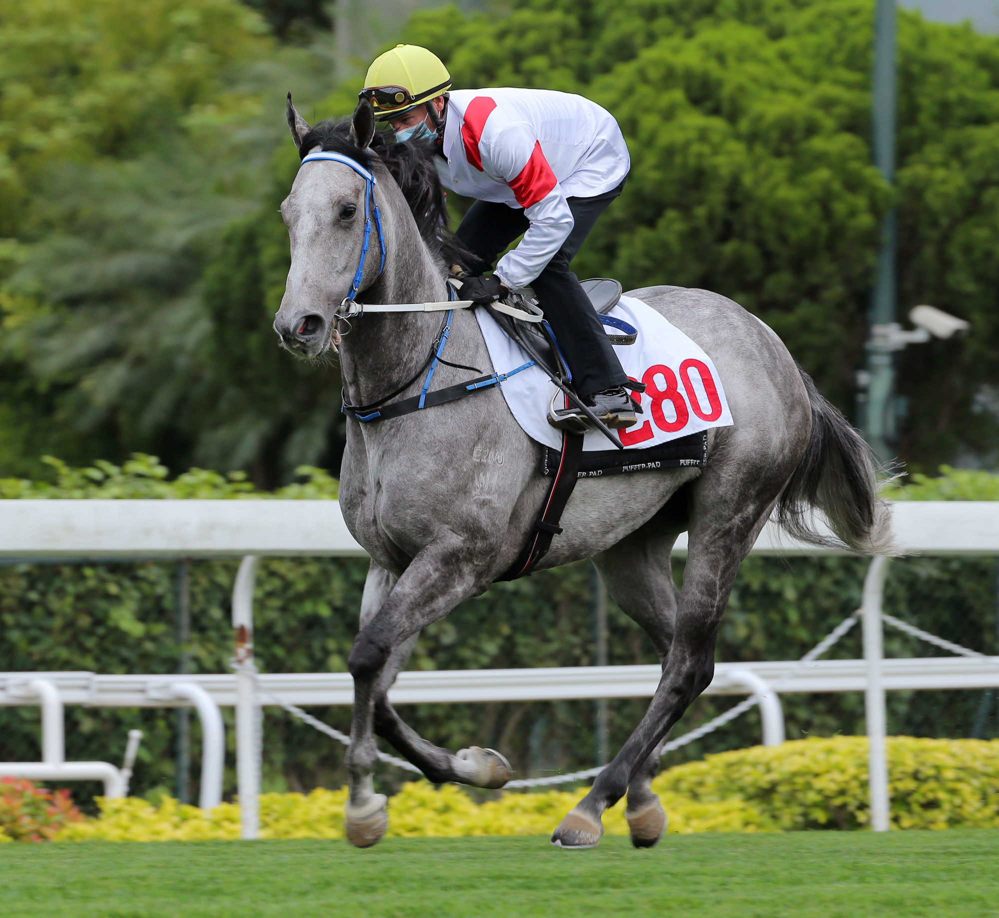 Zac Purton trials Classique Legend at Sha Tin on Tuesday morning. 