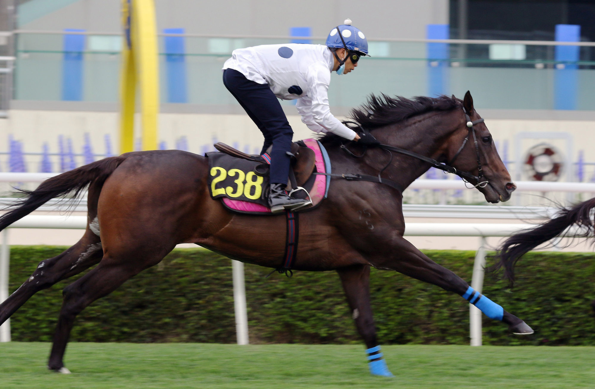 Golden Sixty as he passes the post in Tuesday’s barrier trial. 