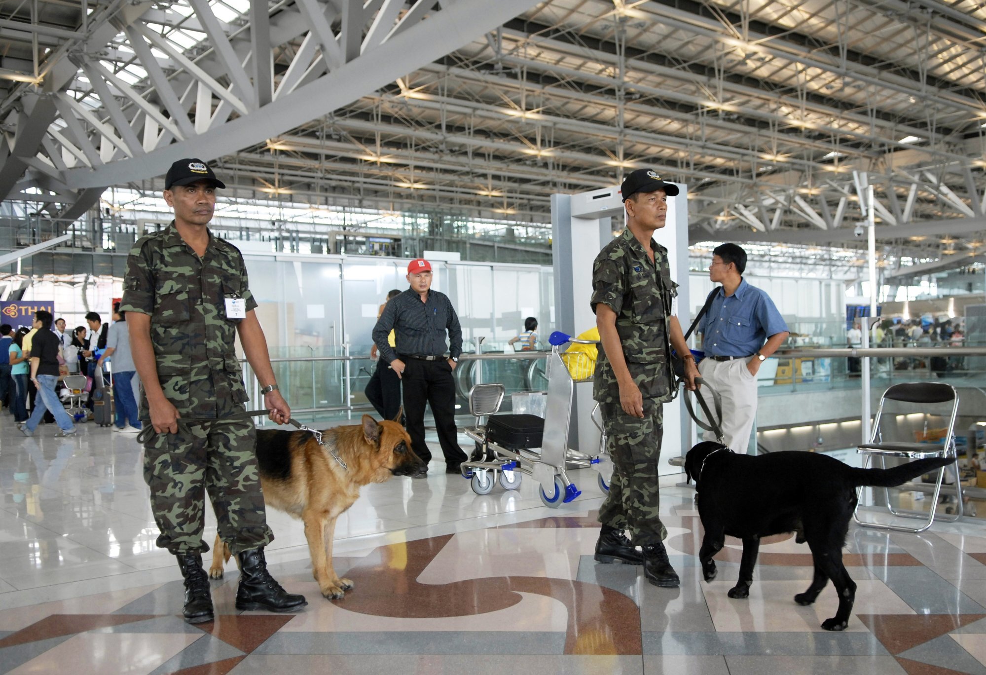 Sniffer dogs at Suvarnabhumi Airport in Bangkok, Thailand. Photo: Getty Images