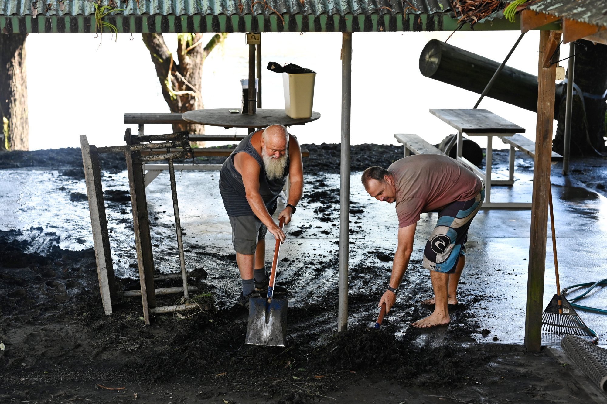 After days of floods, Australians warned to expect ‘plague’ of deadly ...