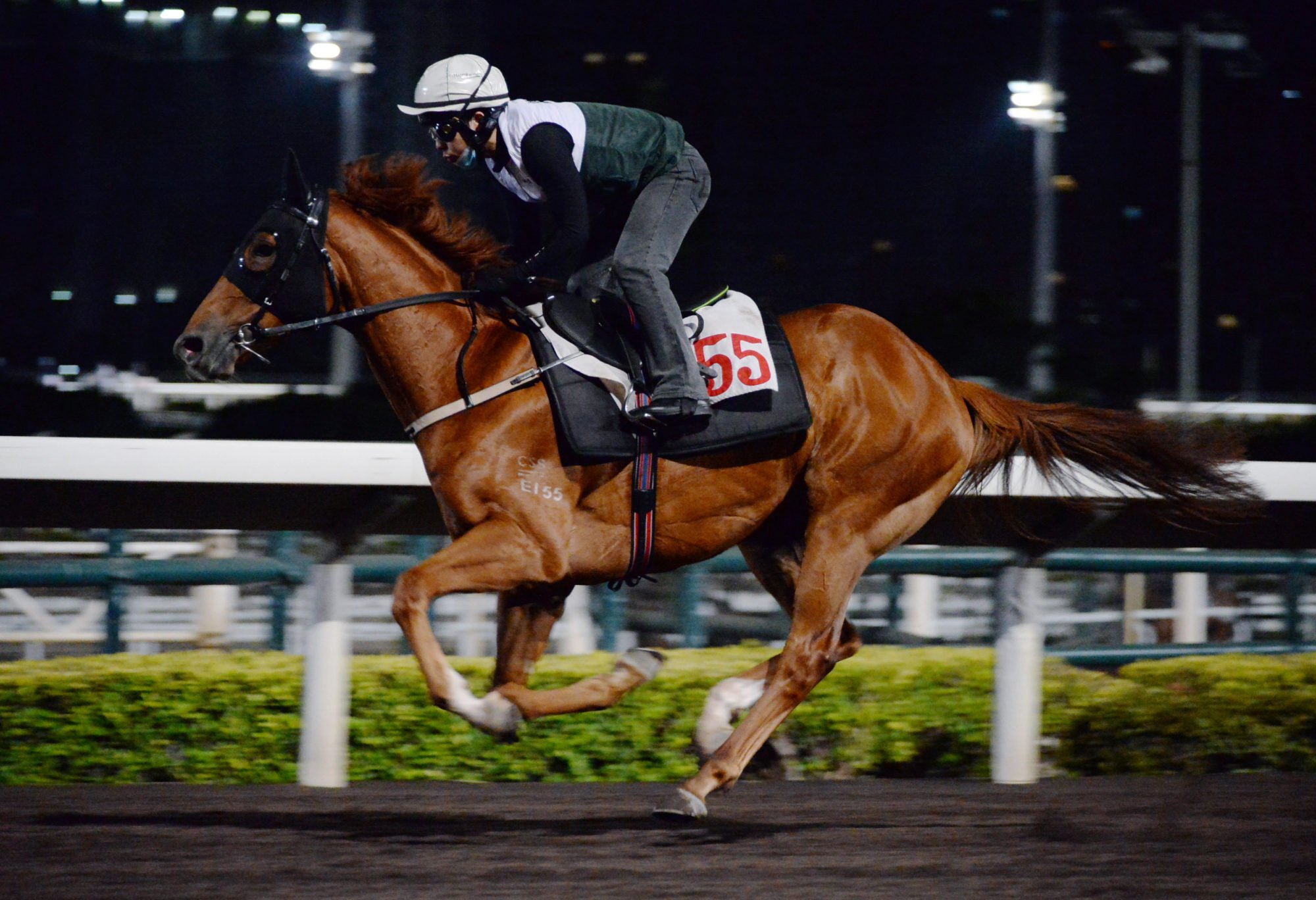 Donc Je Suis gallops at Sha Tin this week.