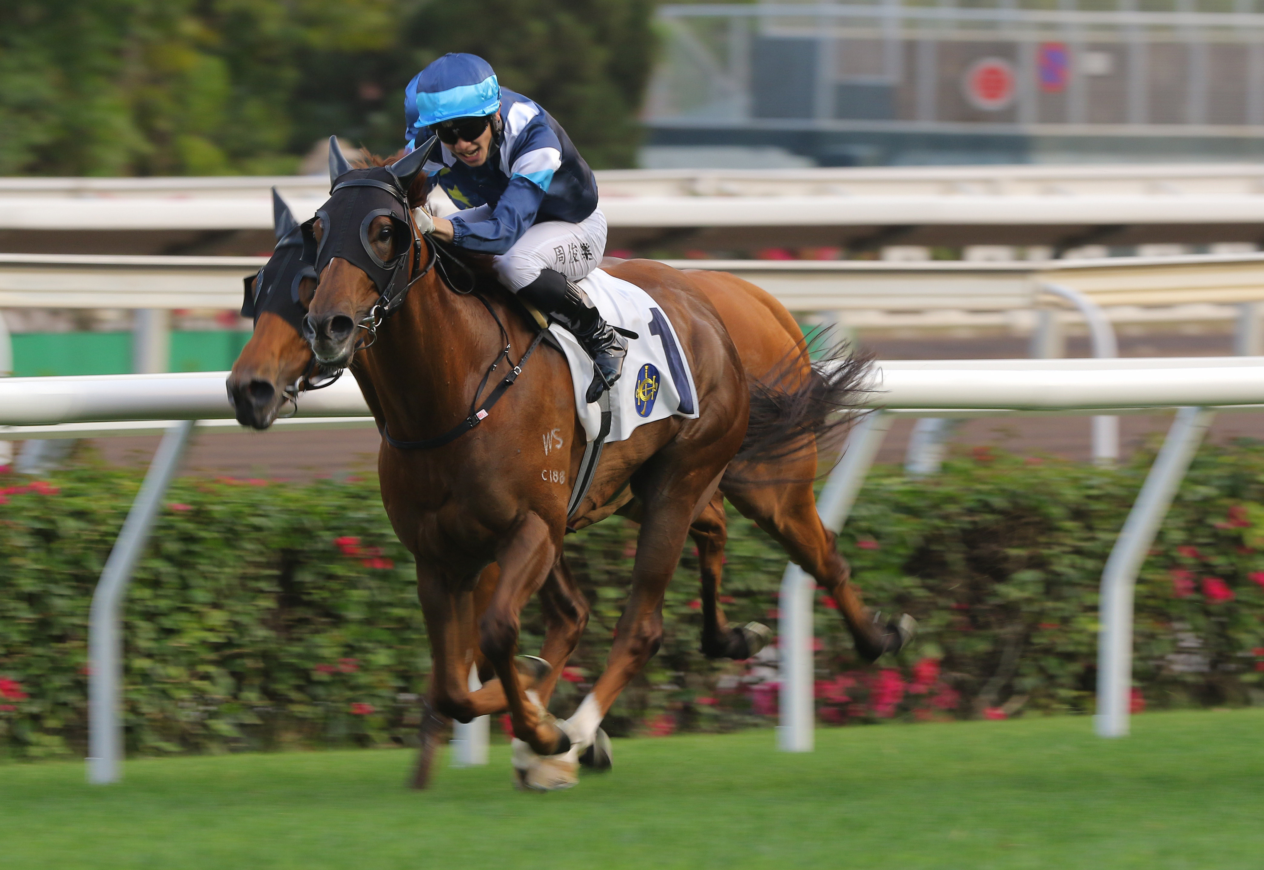 Jerry Chau punches Duke Wai out to victory at Sha Tin on Sunday. Photos: Kenneth Chan 