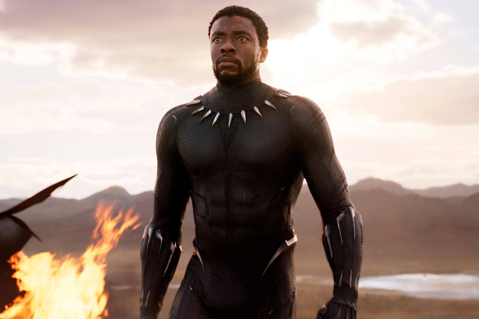 The late Chadwick Boseman as the Black Panther. Photo: Marvel Studios