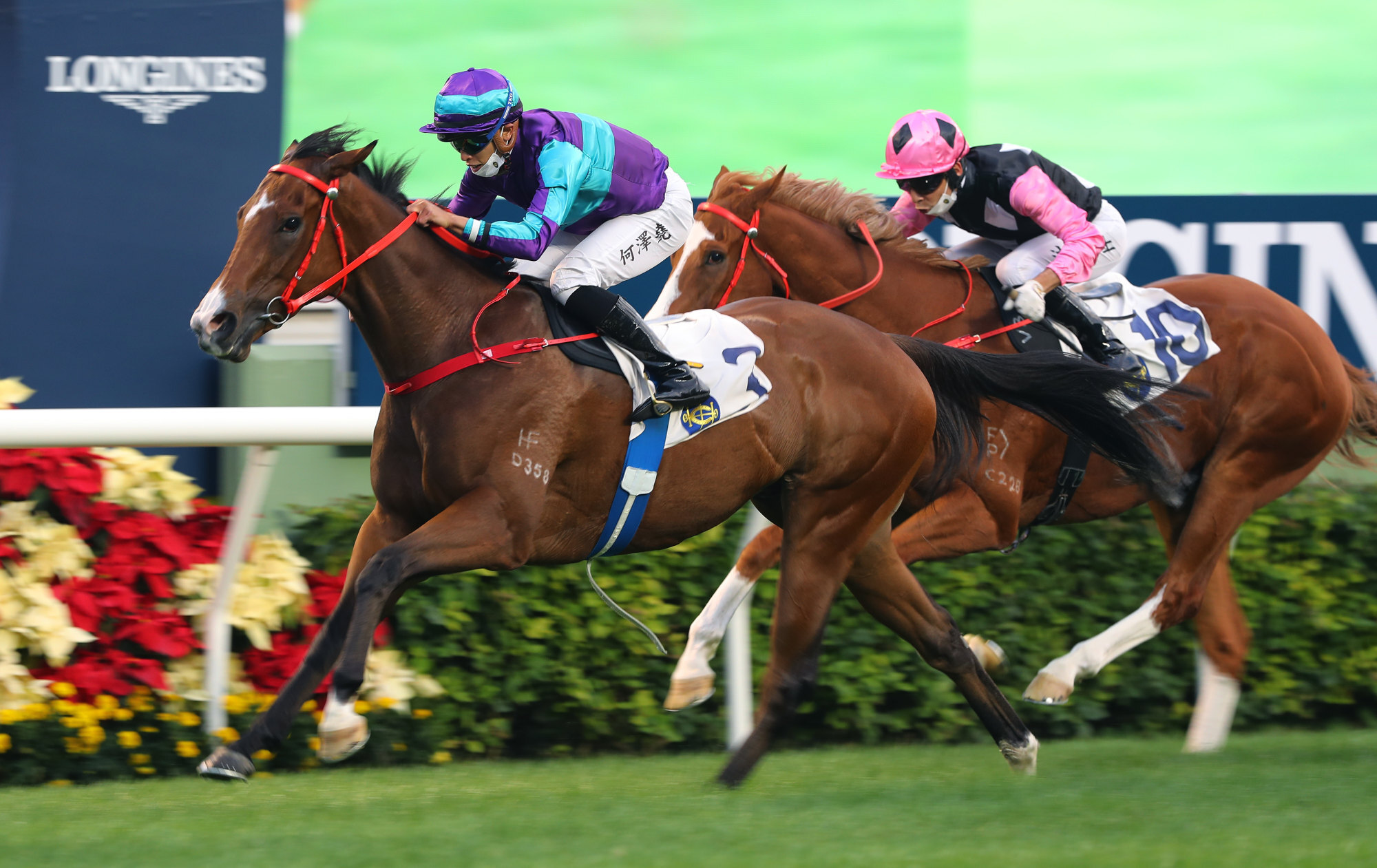 Winning Dreamer salutes at Sha Tin.